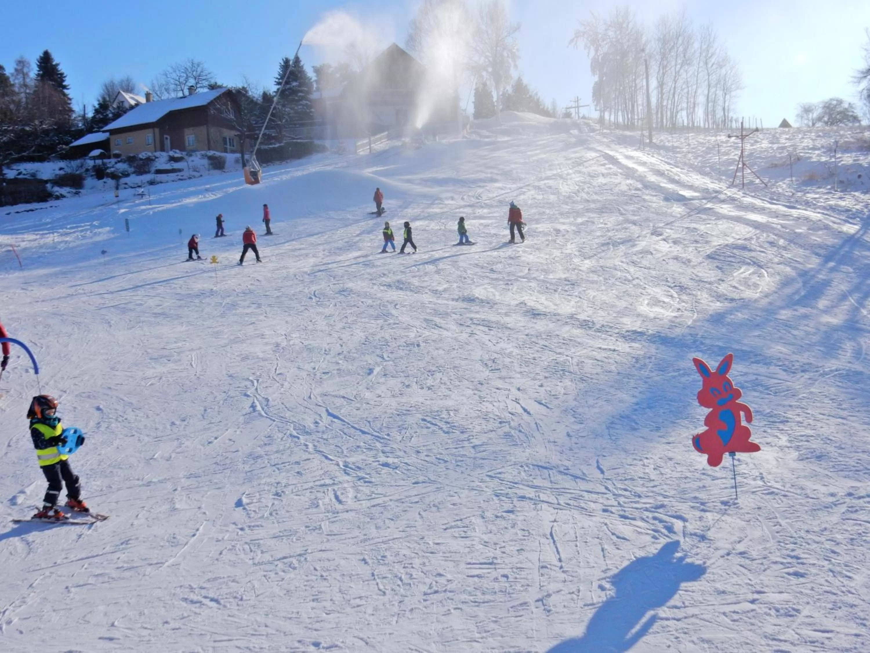 Skiing in Sport-hotel Šibeniční vrch