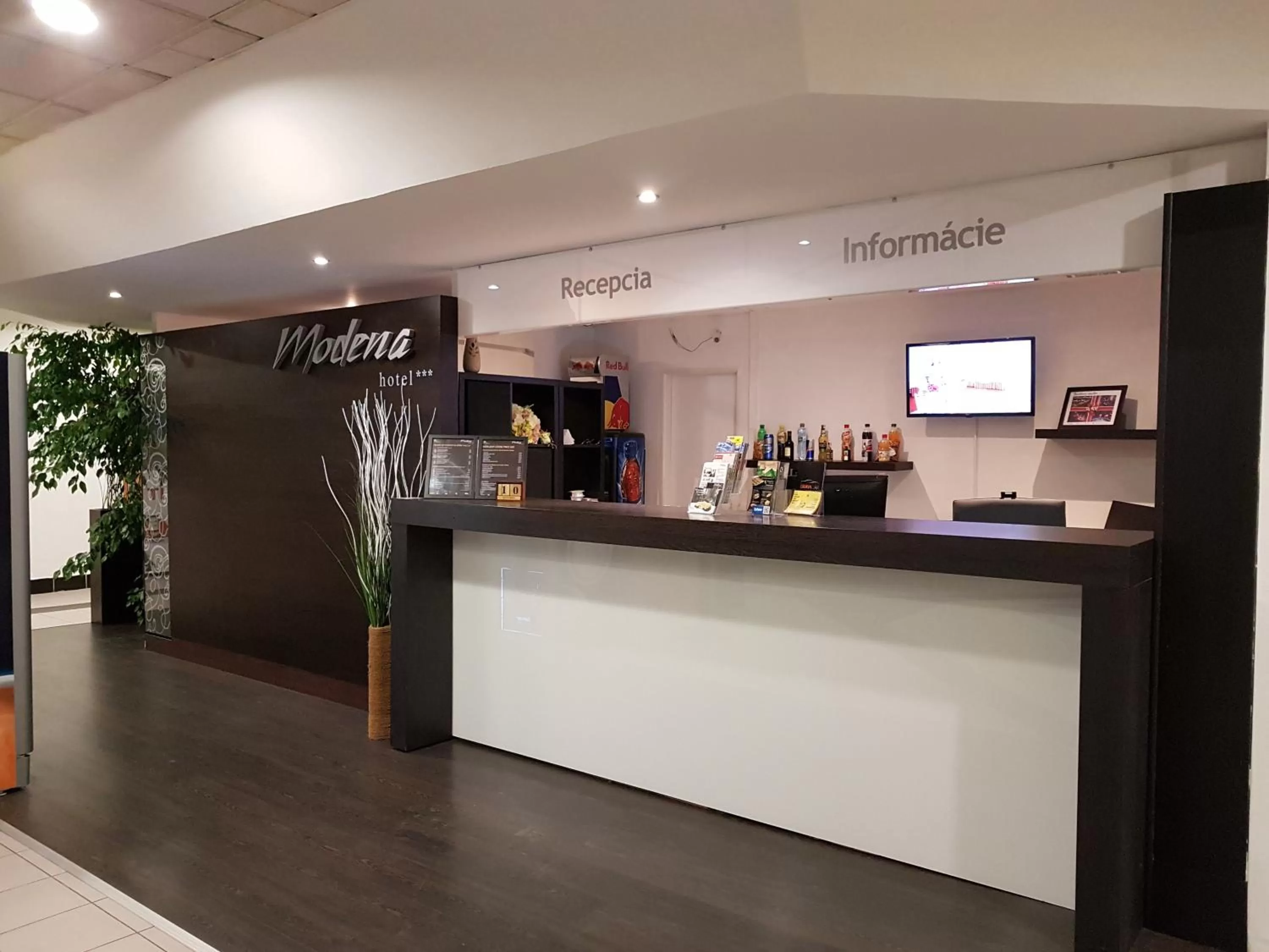 Staff in Hotel Modena