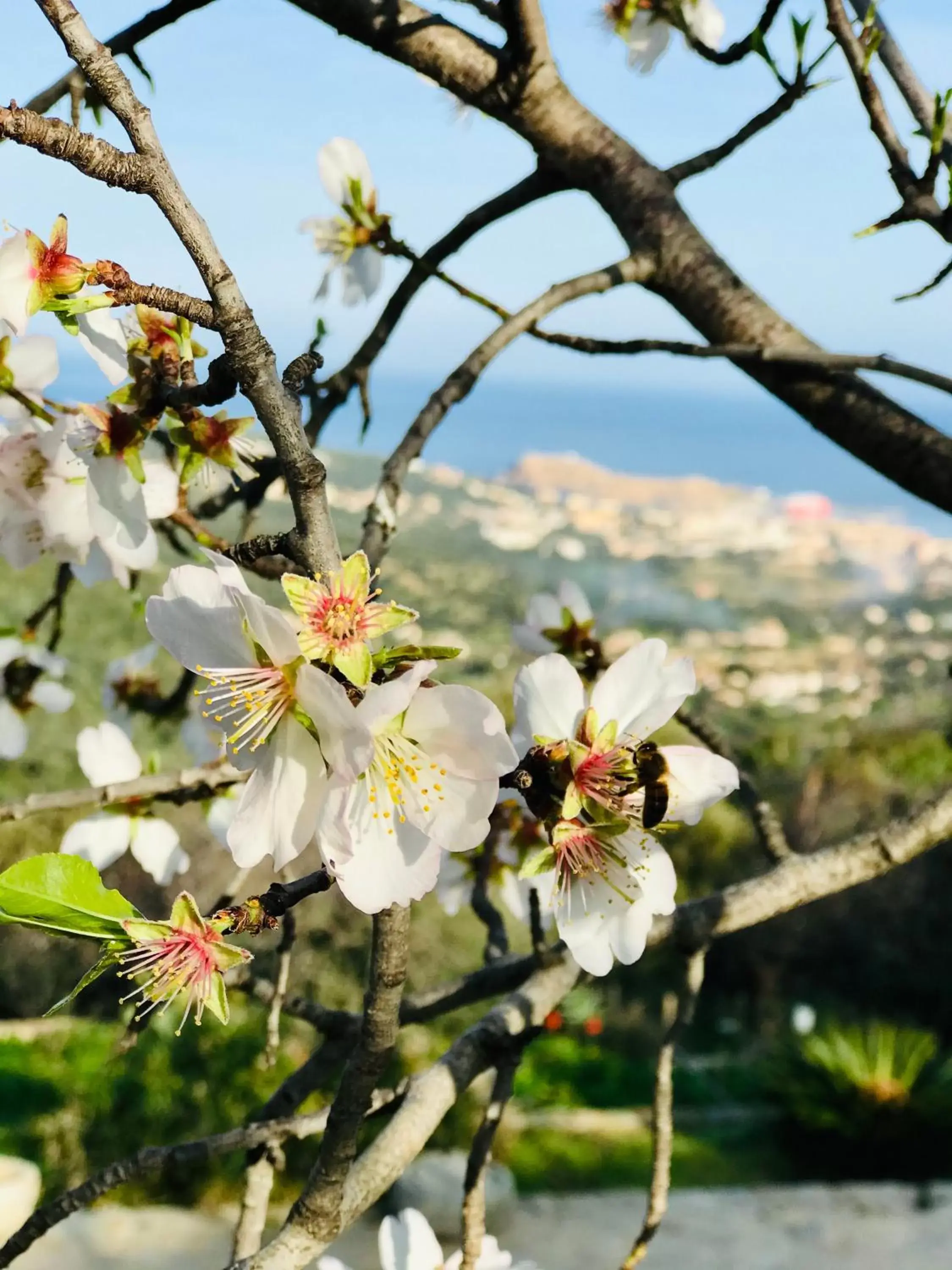 Garden in L'Auberge Sant'Antone