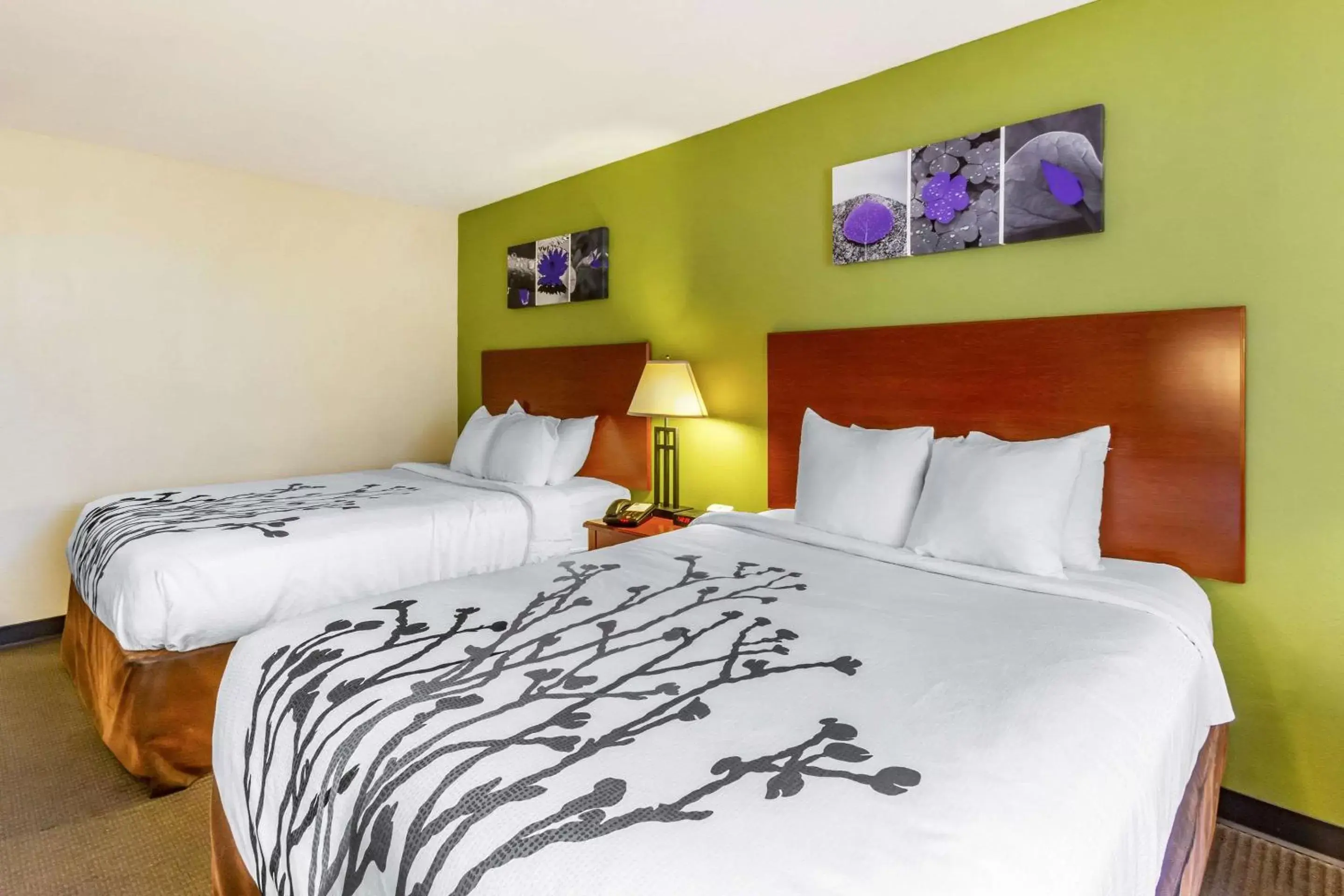 Queen Room with Two Queen Beds - Non-Smoking in Sleep Inn & Suites - Jacksonville