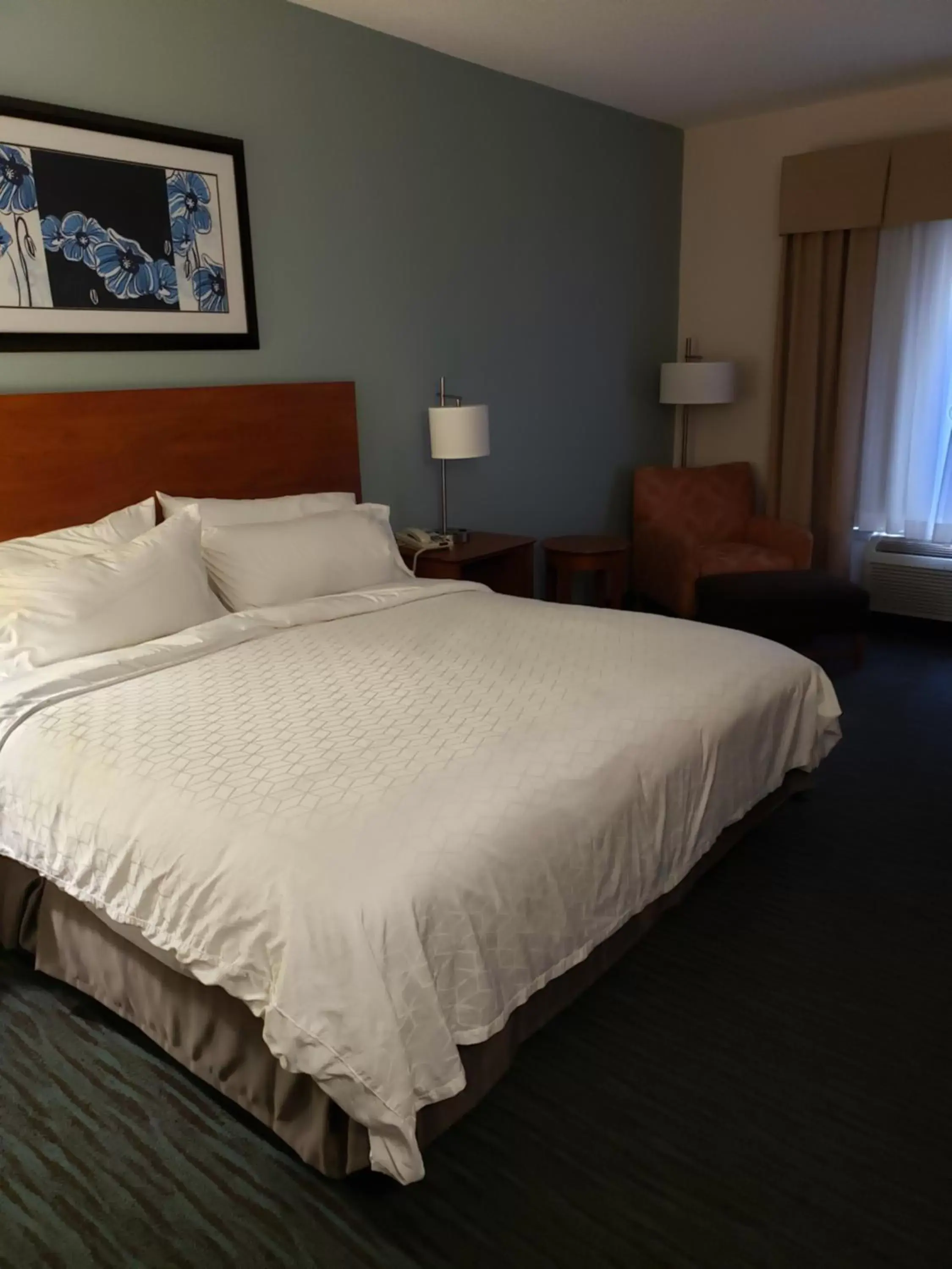 Bed in Holiday Inn Express Richmond-Brandermill-Hull Street, an IHG Hotel