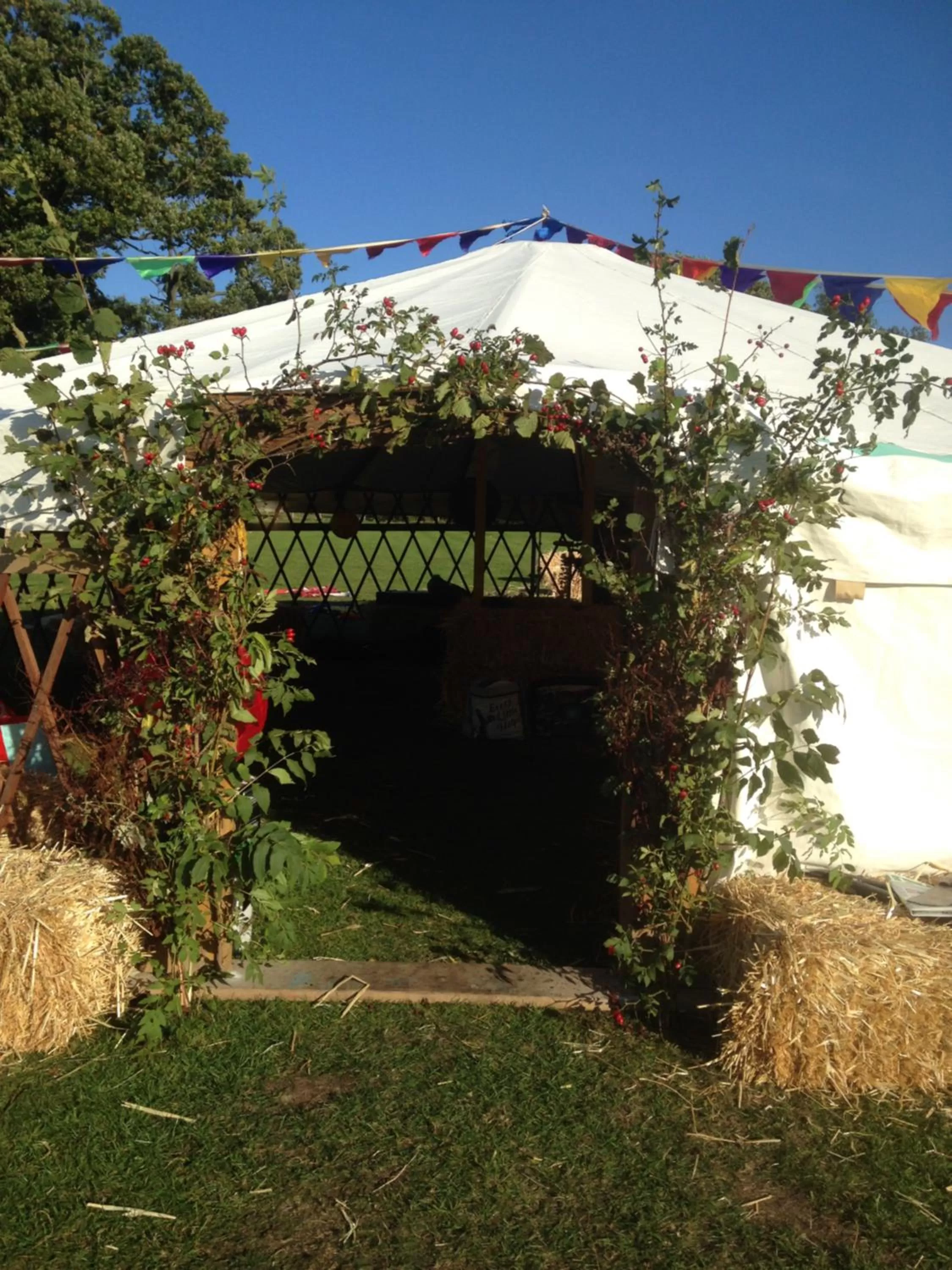 Day in The Golden Lion Inn