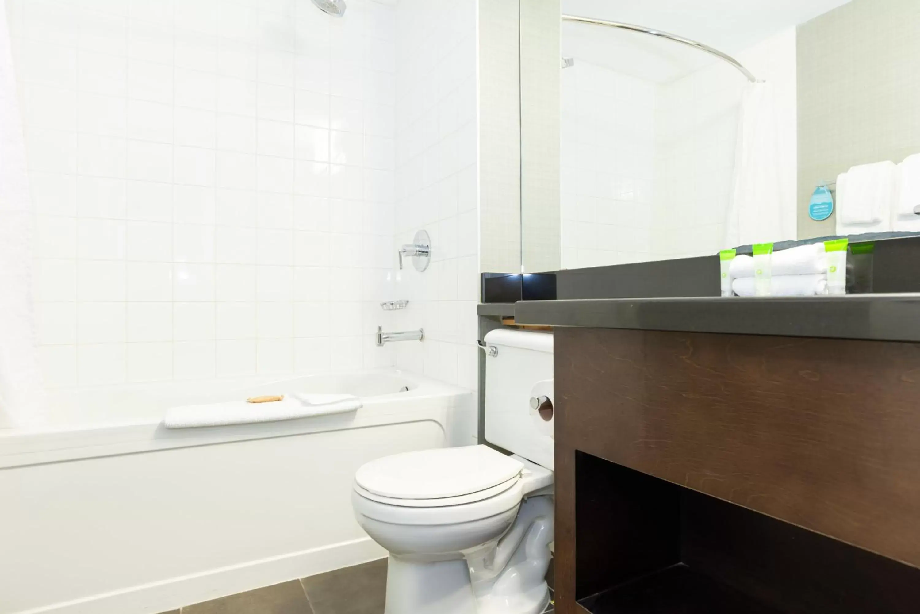 Bathroom in Sandman Hotel Red Deer