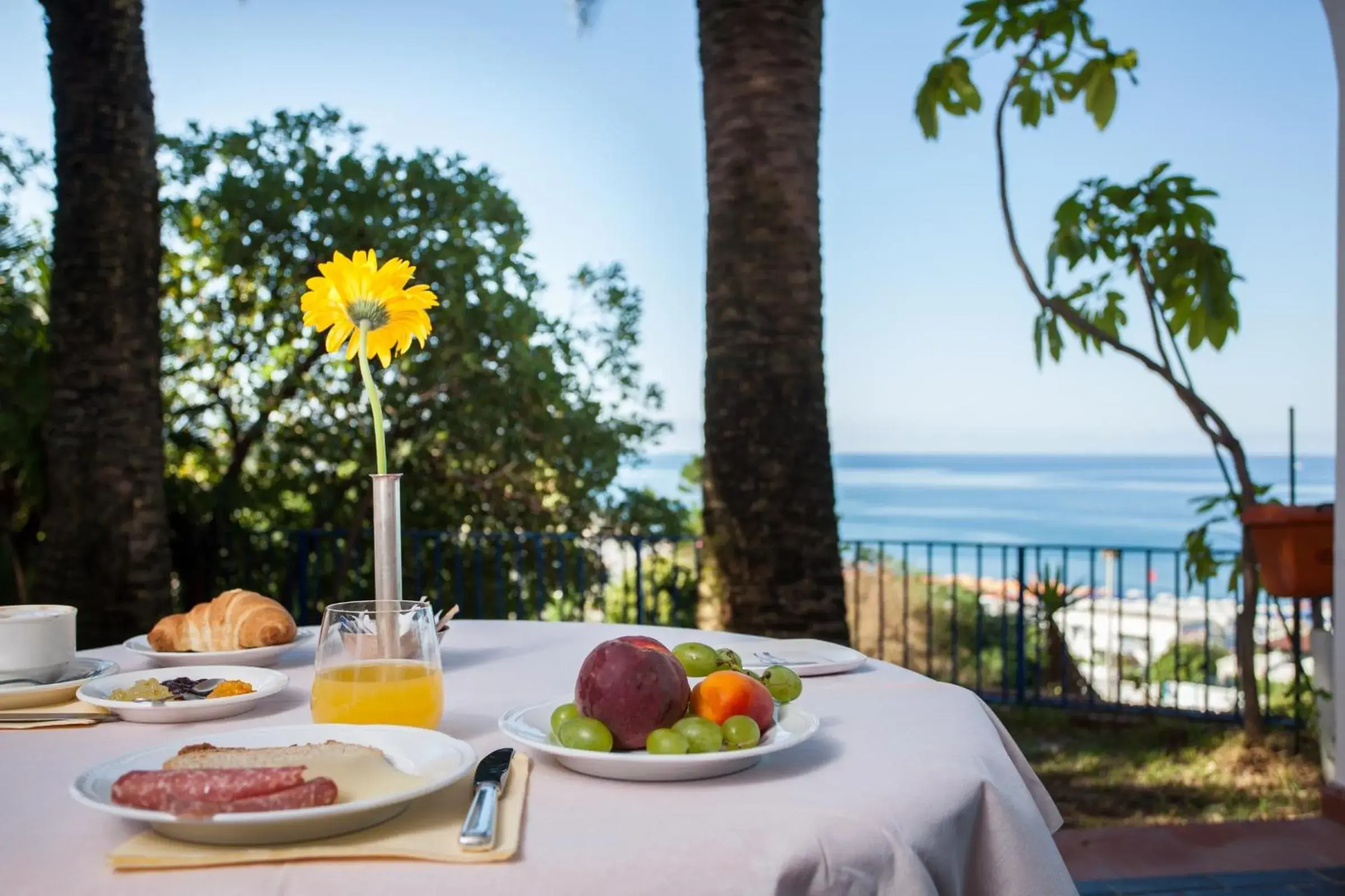 Business facilities in Grand Hotel De Rose