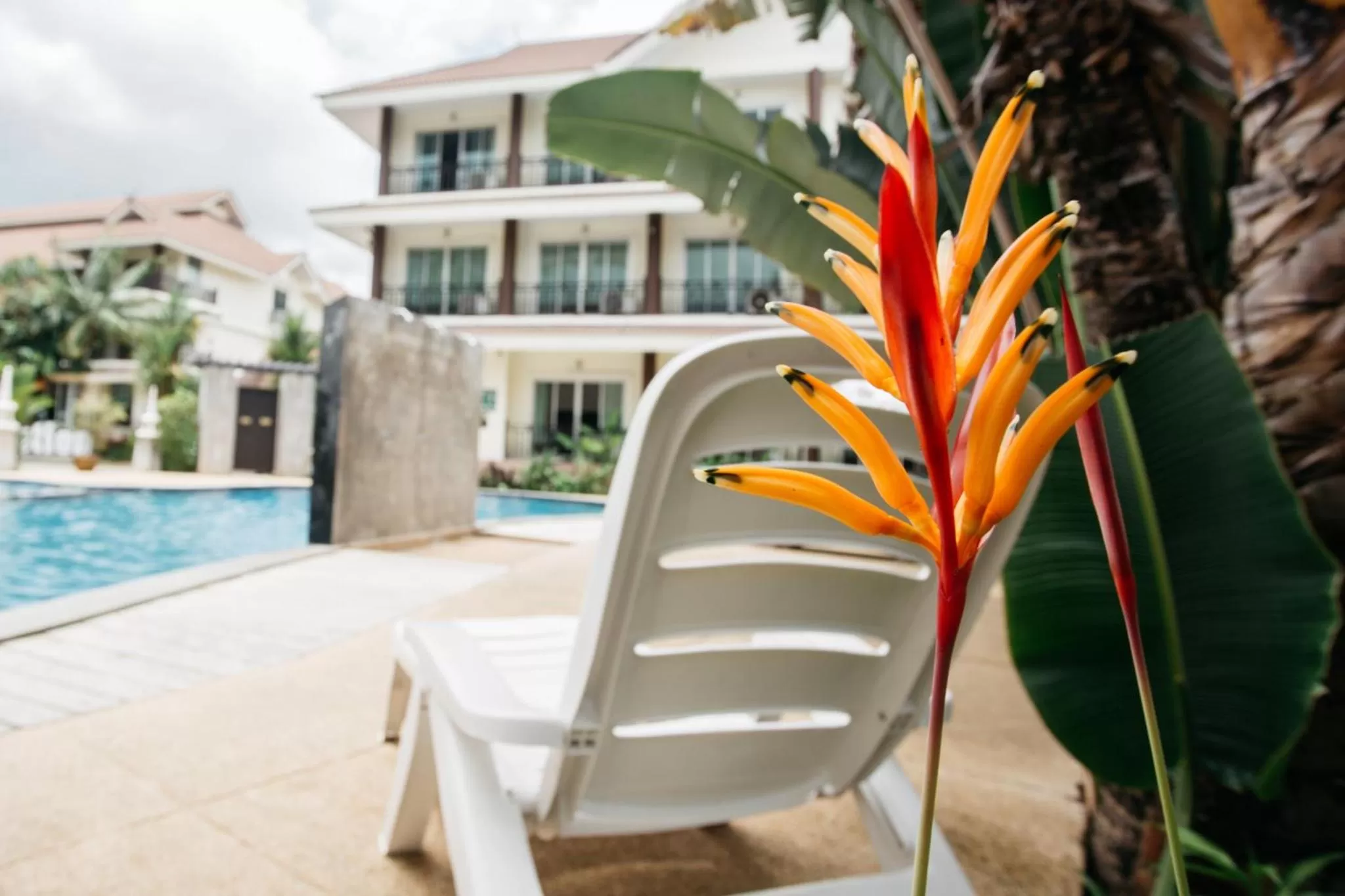 Swimming pool in Diamond Park Inn Chiangrai & Resort