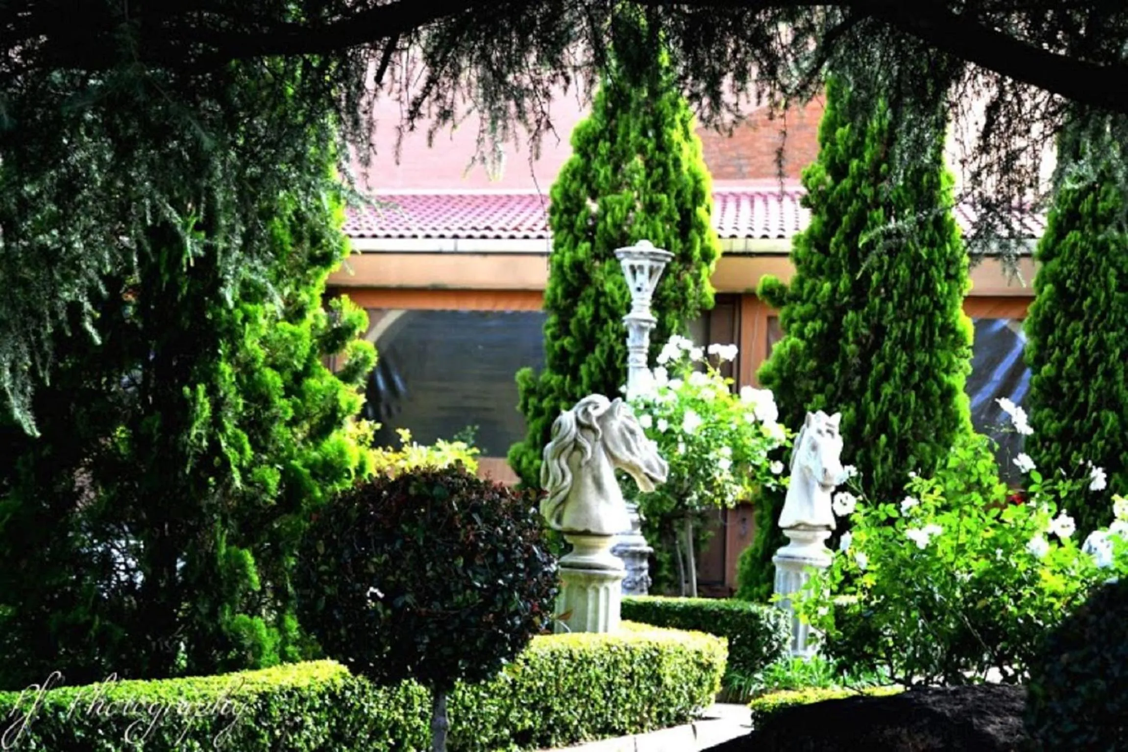 Garden in Midrand Conference Centre