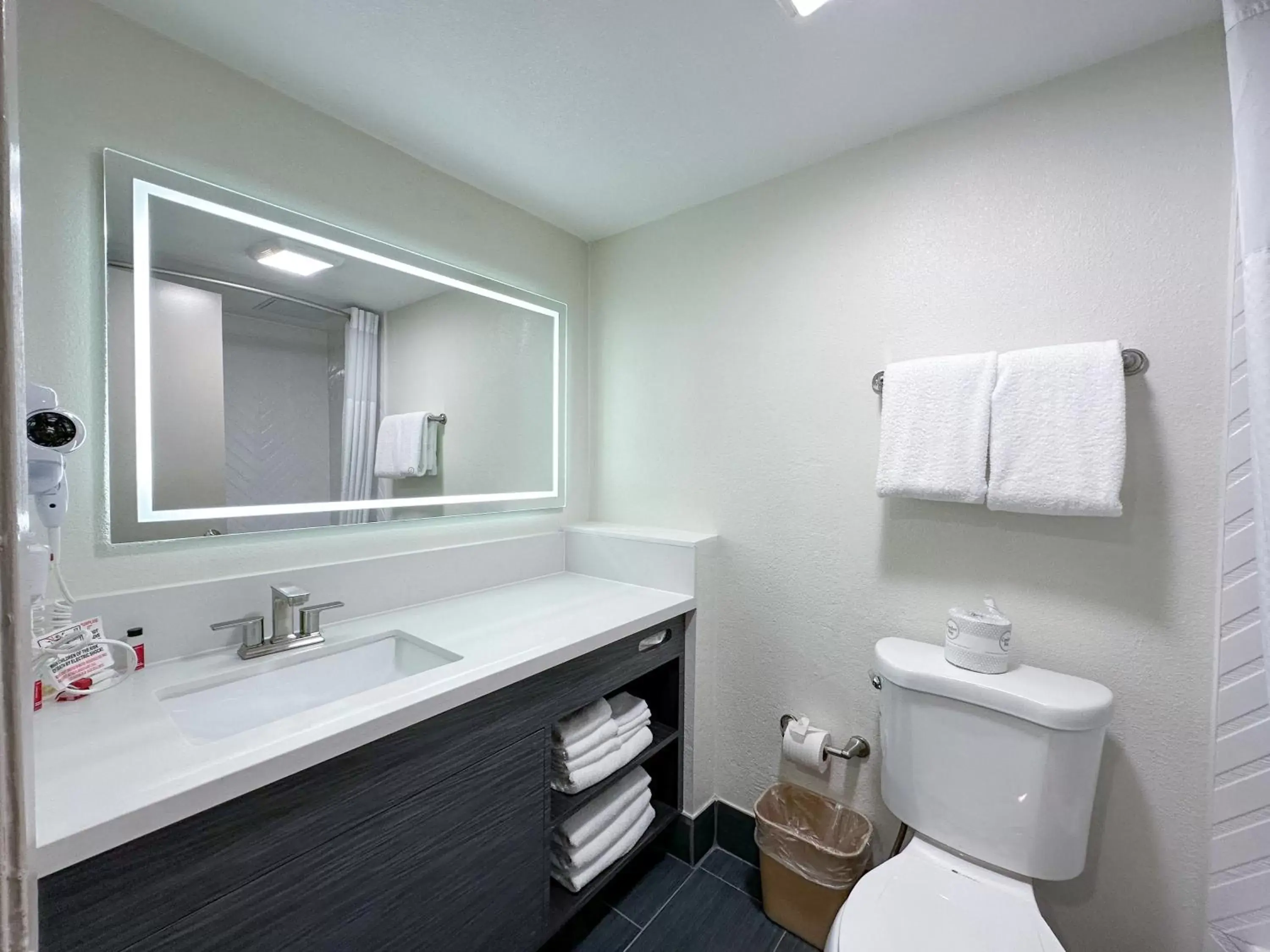 Bathroom in Ramada by Wyndham Anaheim Convention Center