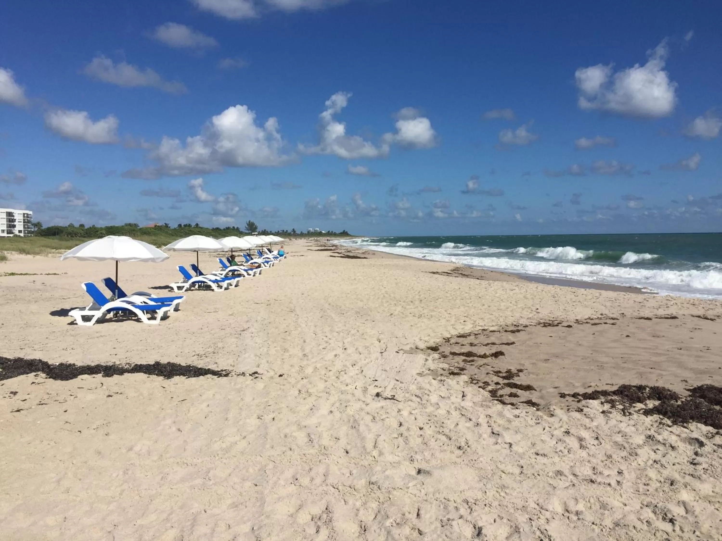 Beach in Prestige Hotel Vero Beach
