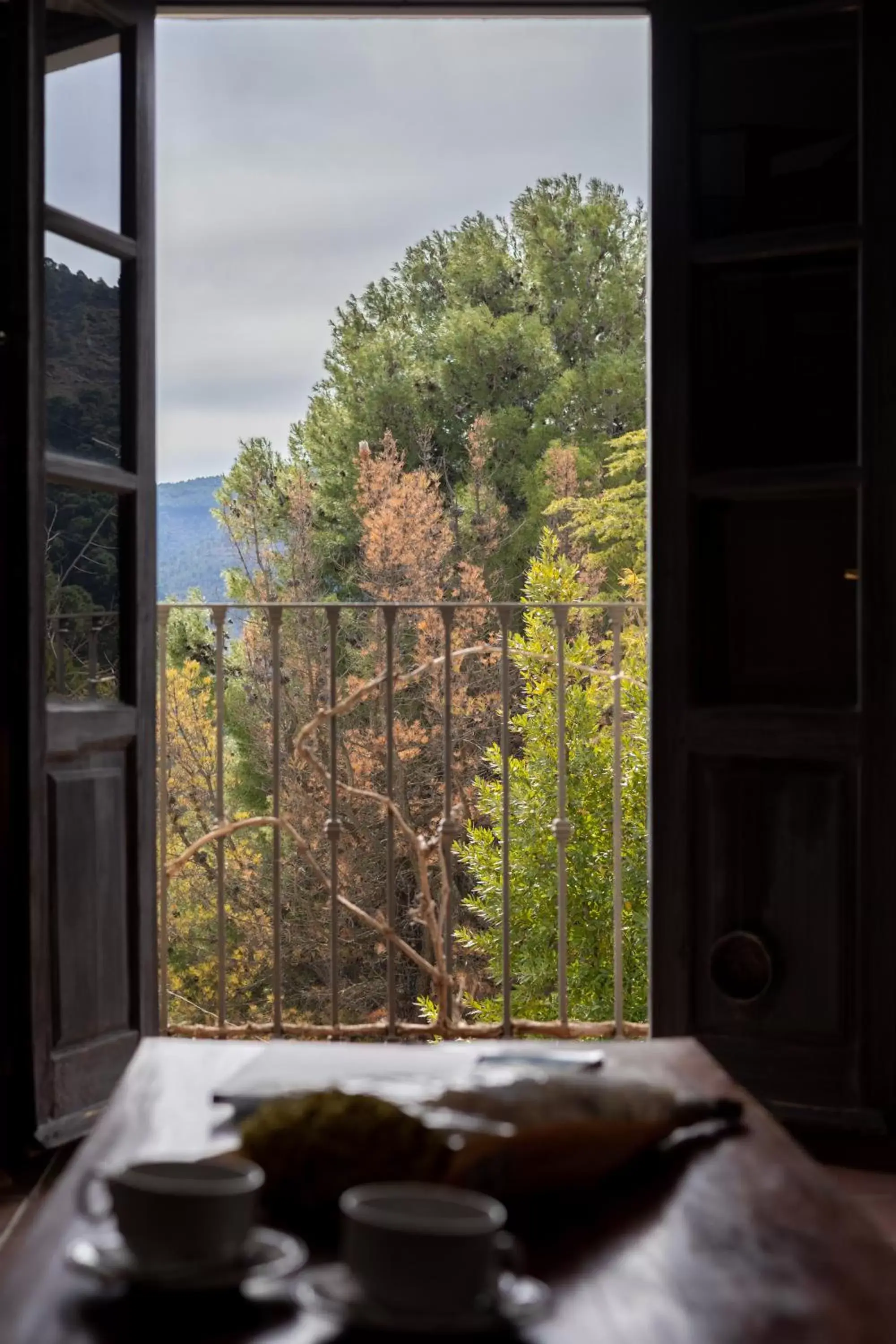 Natural landscape, View in Cerro de Hijar