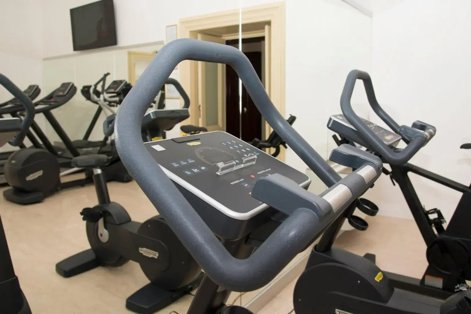 Fitness centre/facilities, Fitness Center/Facilities in Villa Fenaroli Palace Hotel