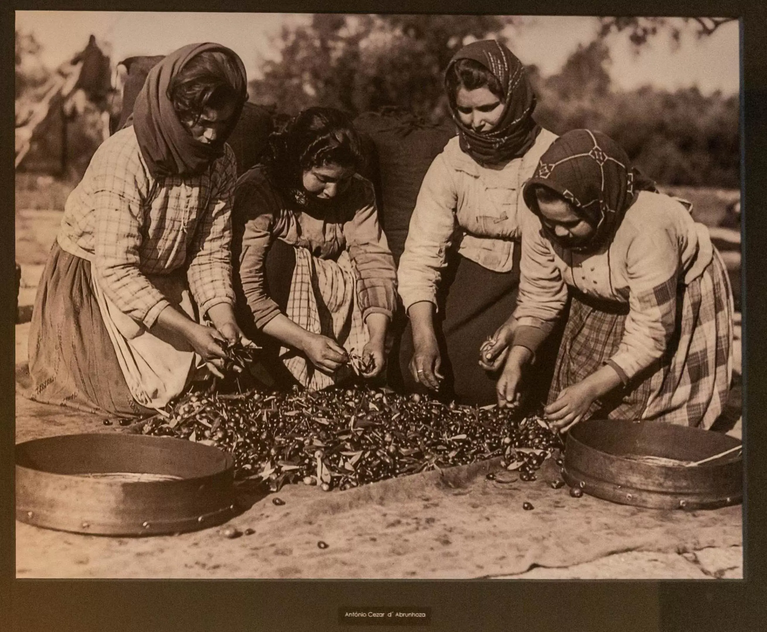 Decorative detail, Other Activities in Evora Olive Hotel