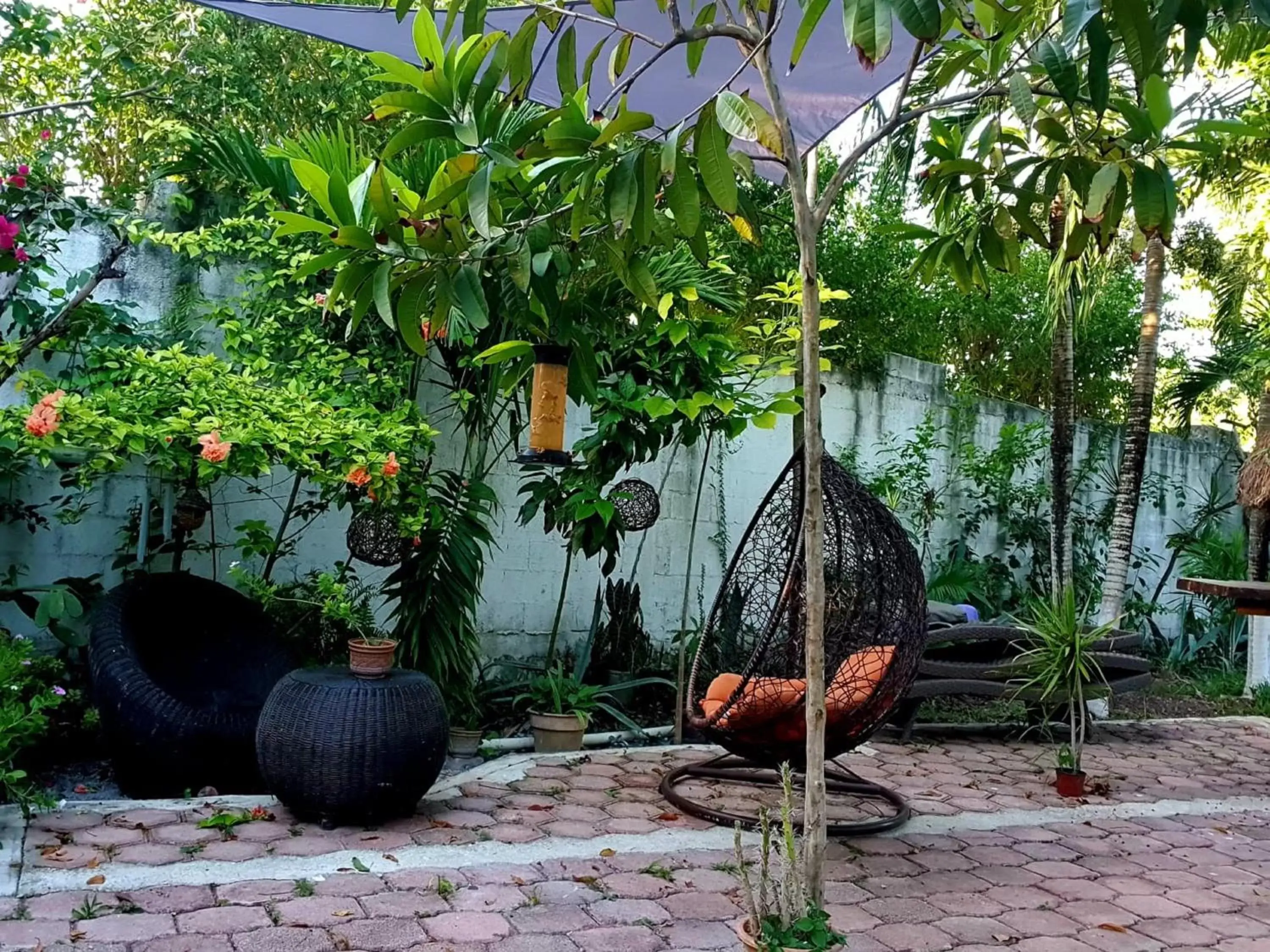 Garden in Cabañas Colibrí