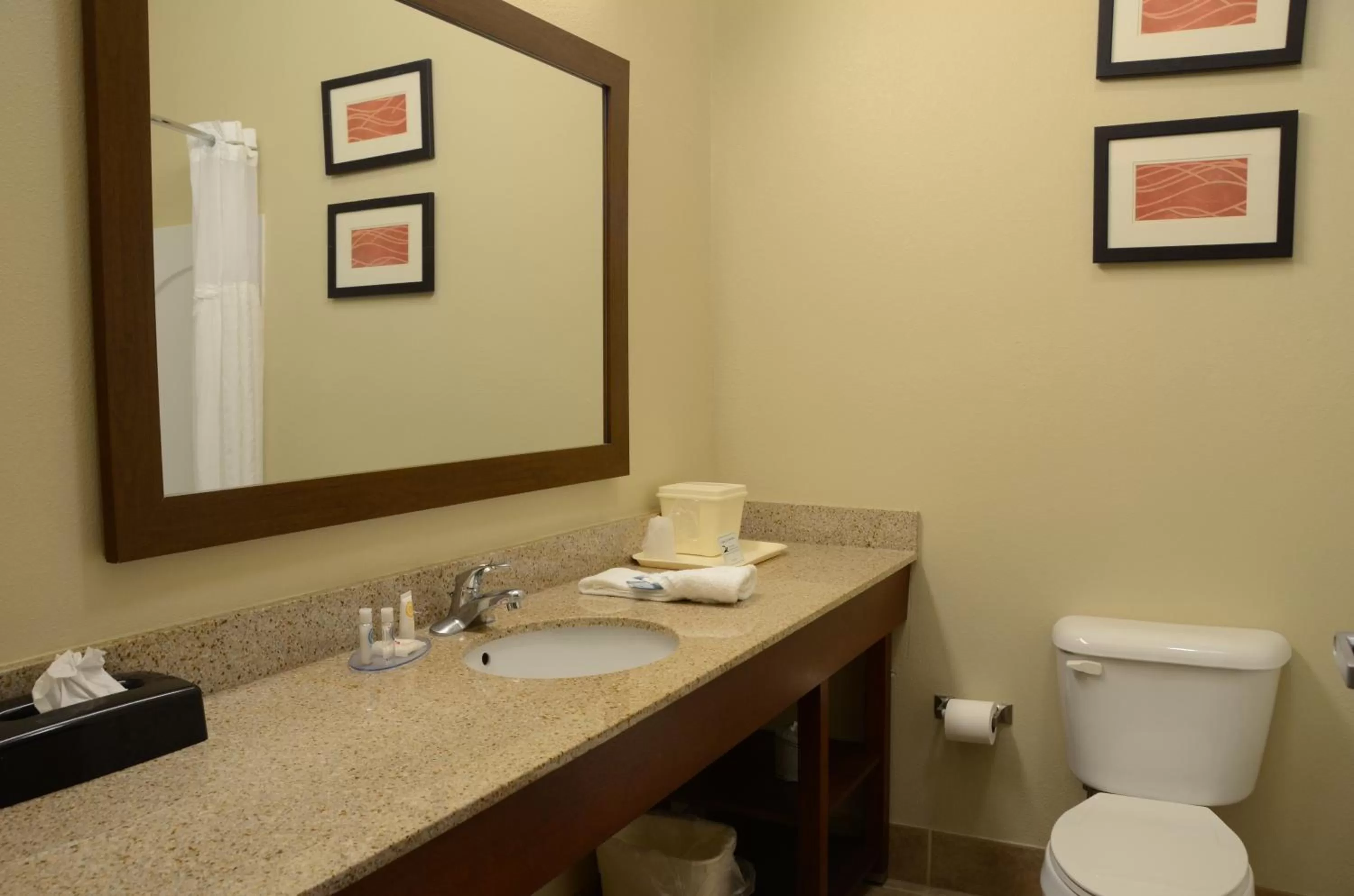 Bathroom in Comfort Inn & Suites Cave City