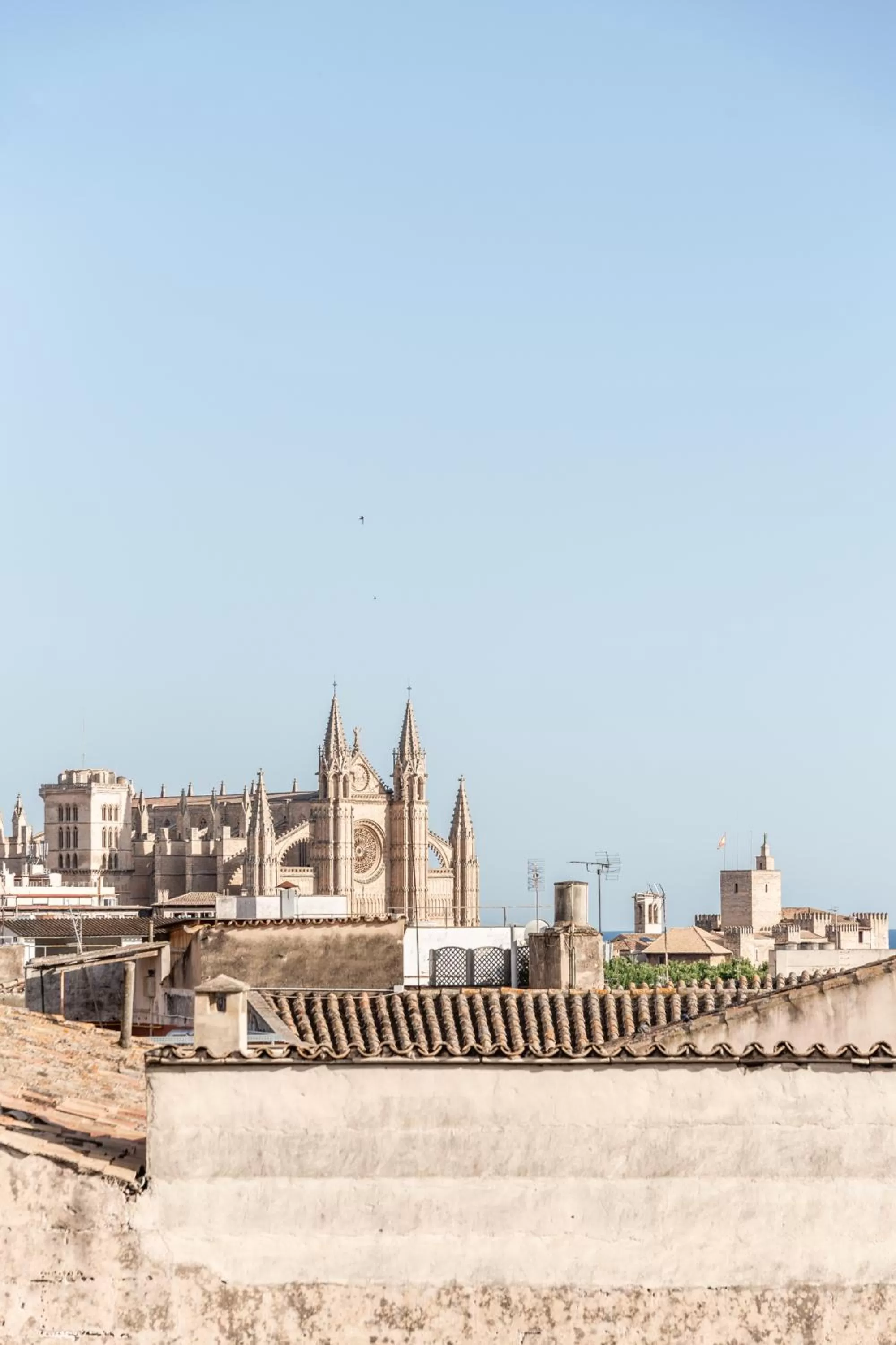 Area and facilities in Concepcio by Nobis, Palma, a Member of Design Hotels