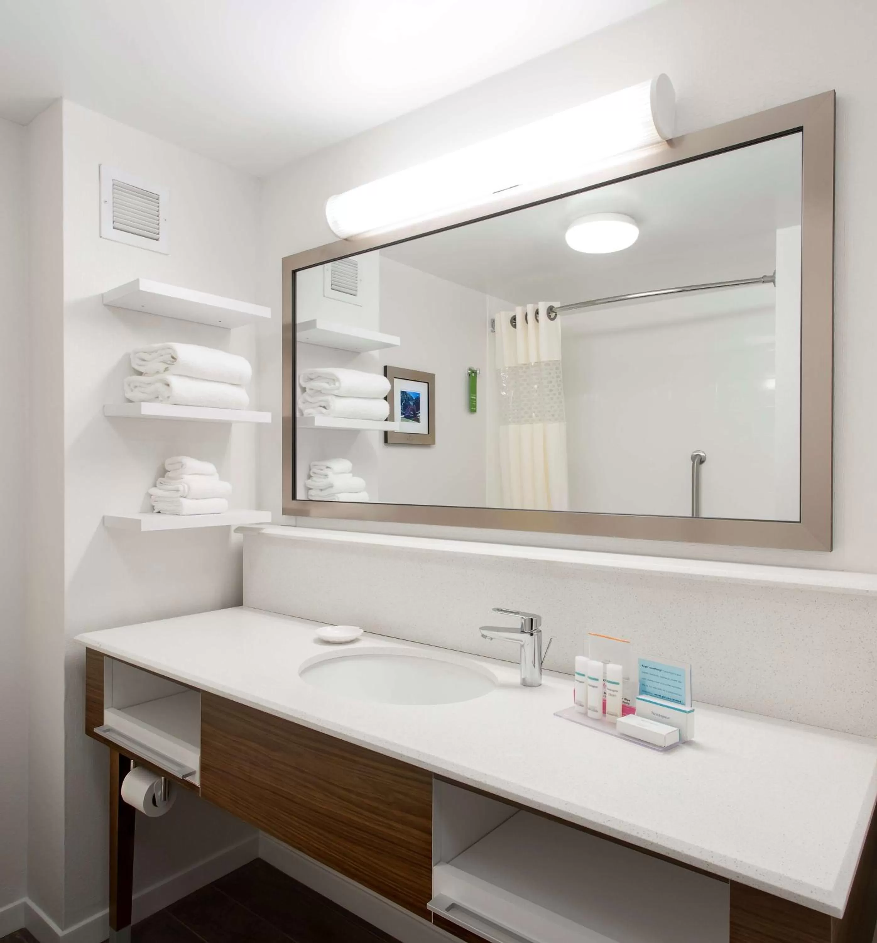 Bathroom in Hampton Inn Troy