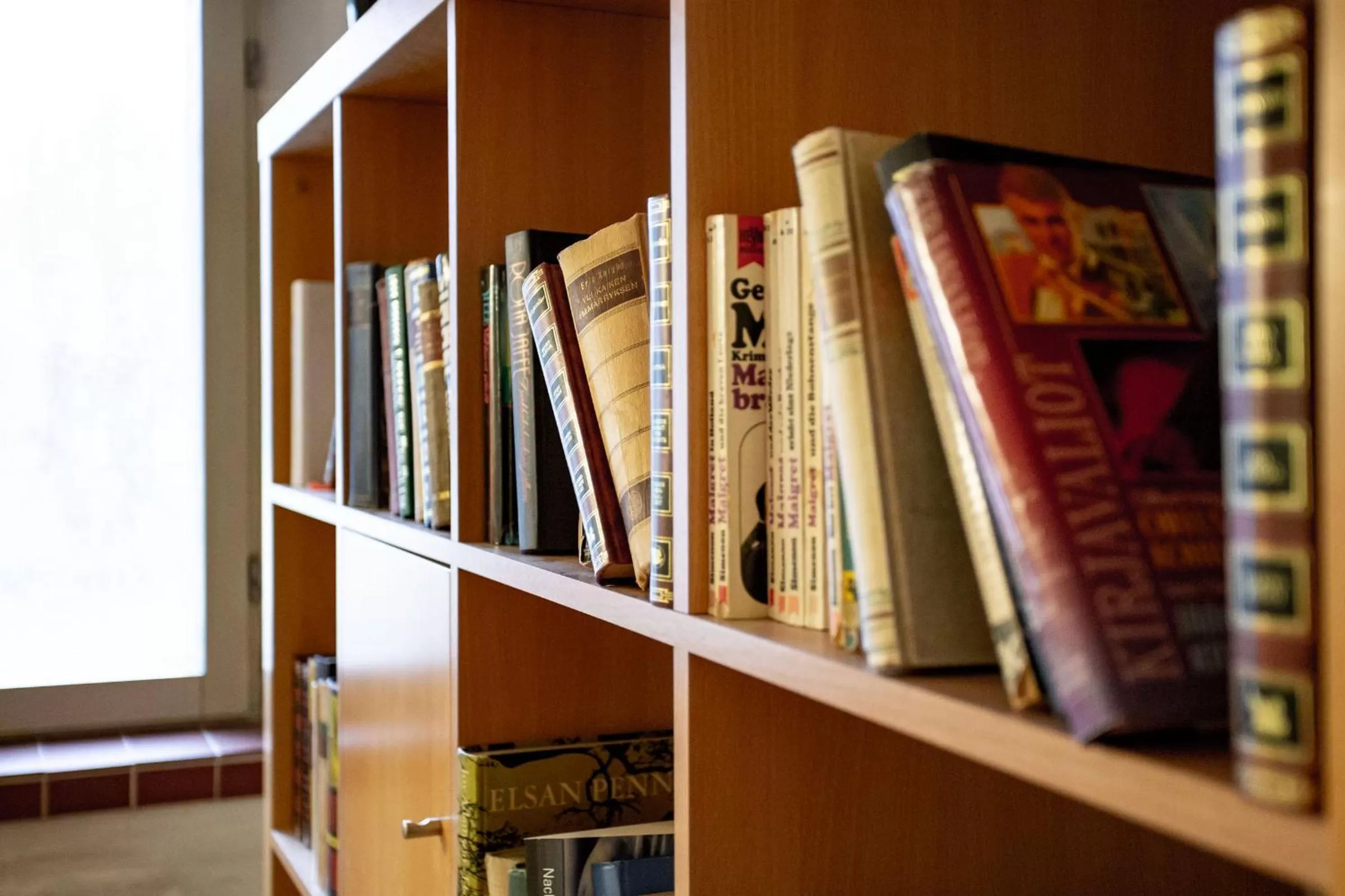 Library in Hotel Vanha Rauma