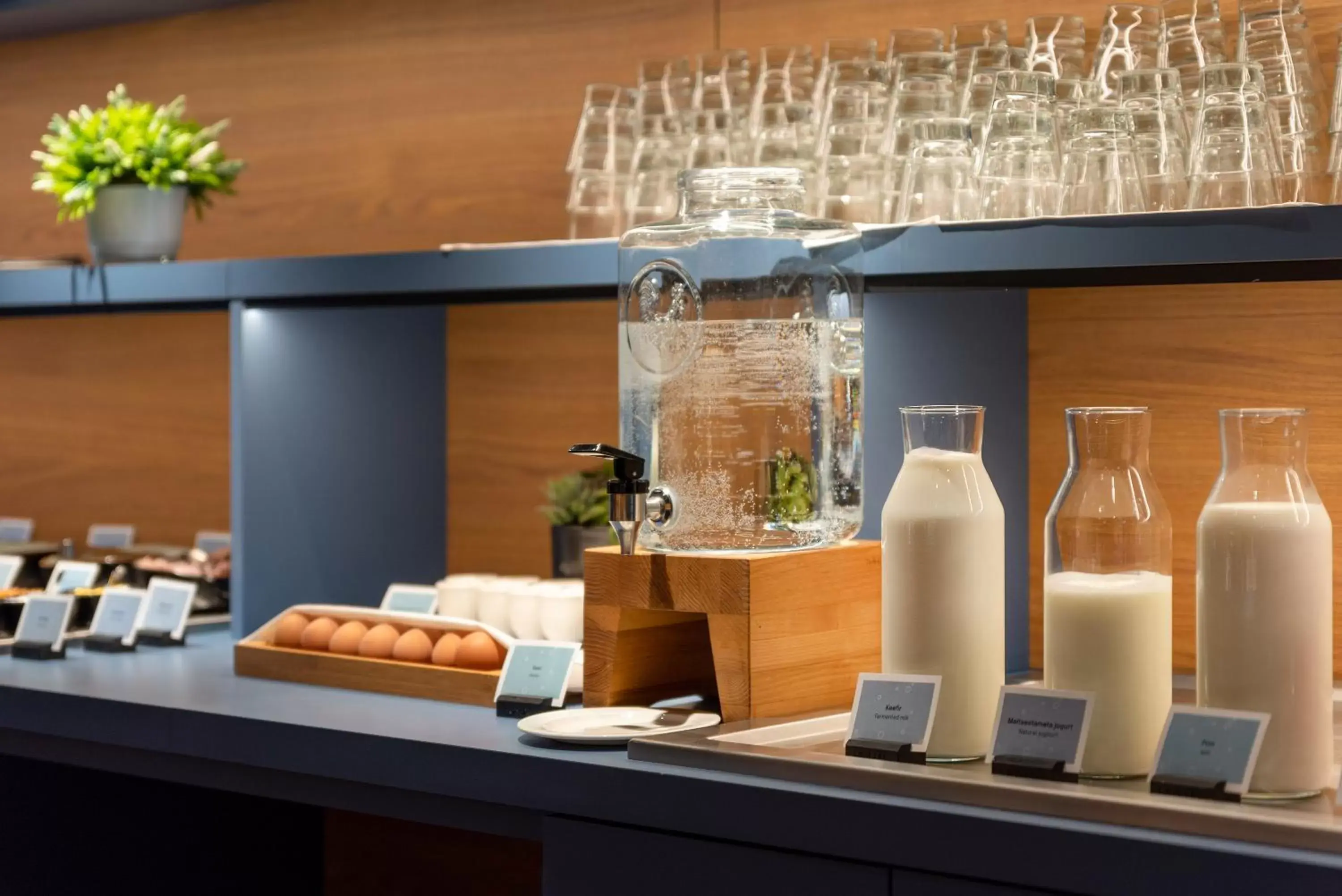 Breakfast in Art Hotel Pallas by Tartuhotels