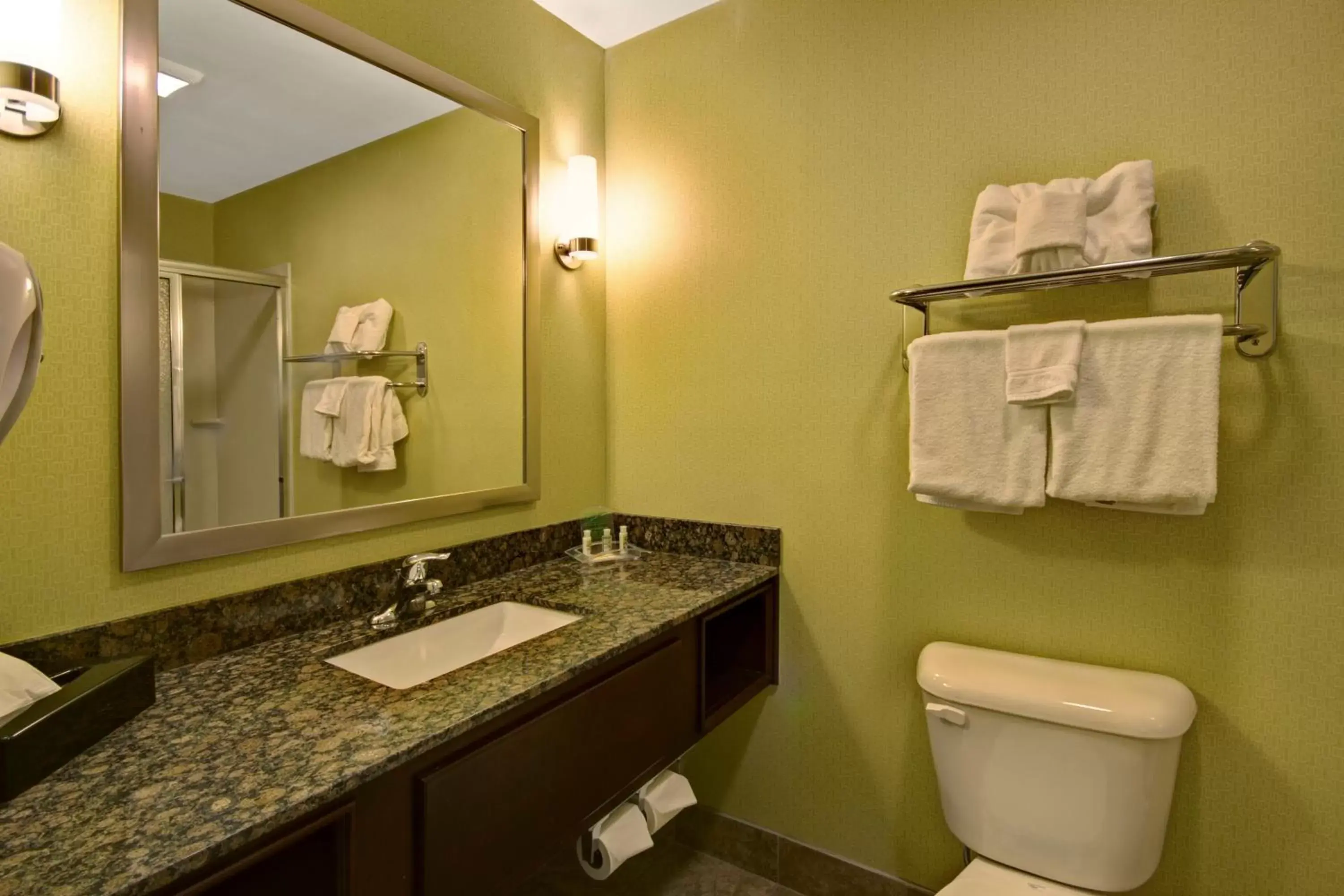 Bathroom in Holiday Inn Christiansburg Blacksburg, an IHG Hotel