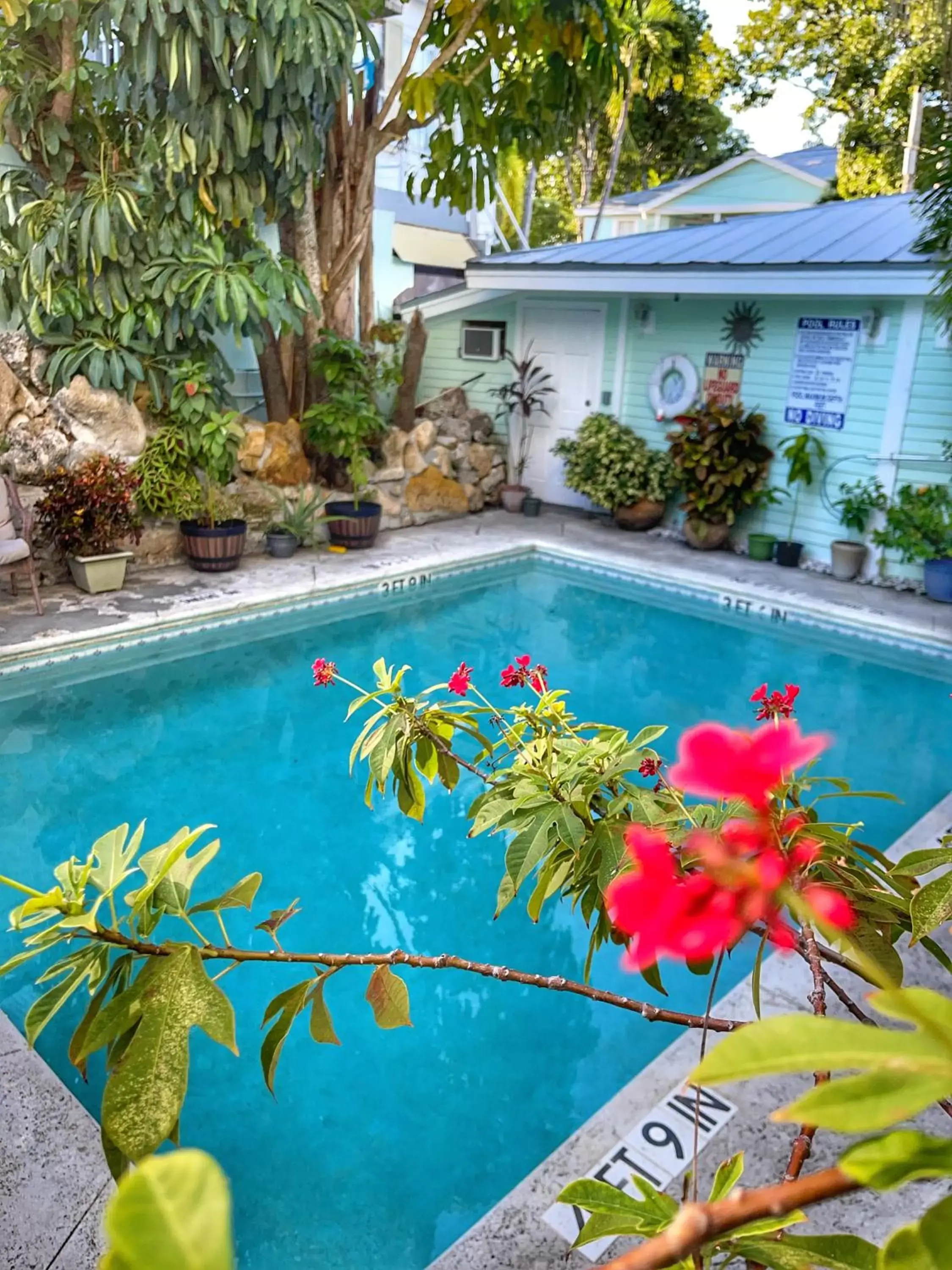 Swimming Pool in The Casablanca Hotel