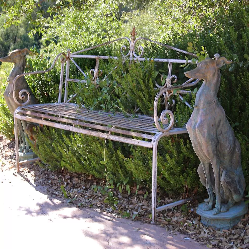 Garden, Other Animals in Bella Vista Bed and Breakfast