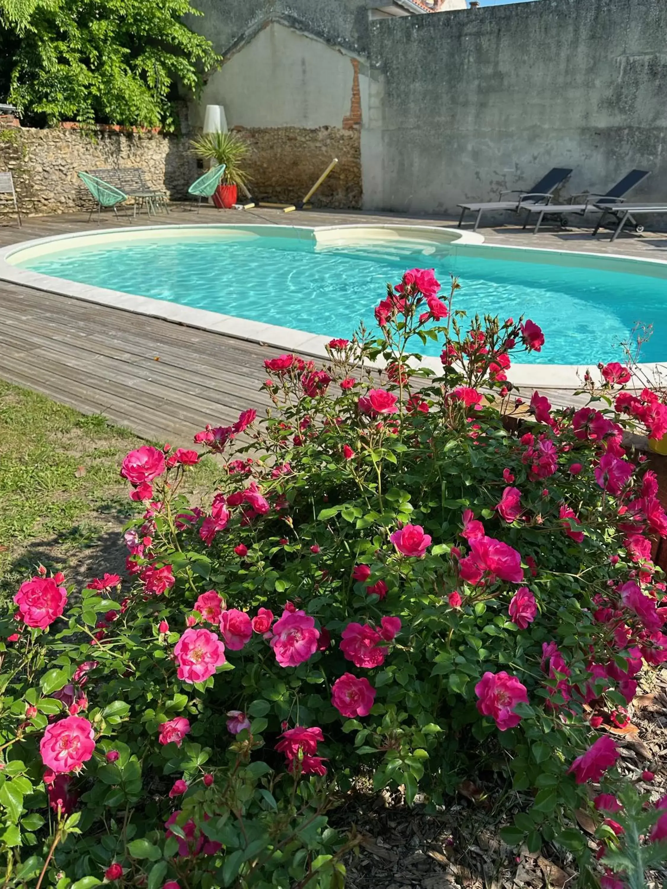 Garden, Swimming Pool in La Maison Florence