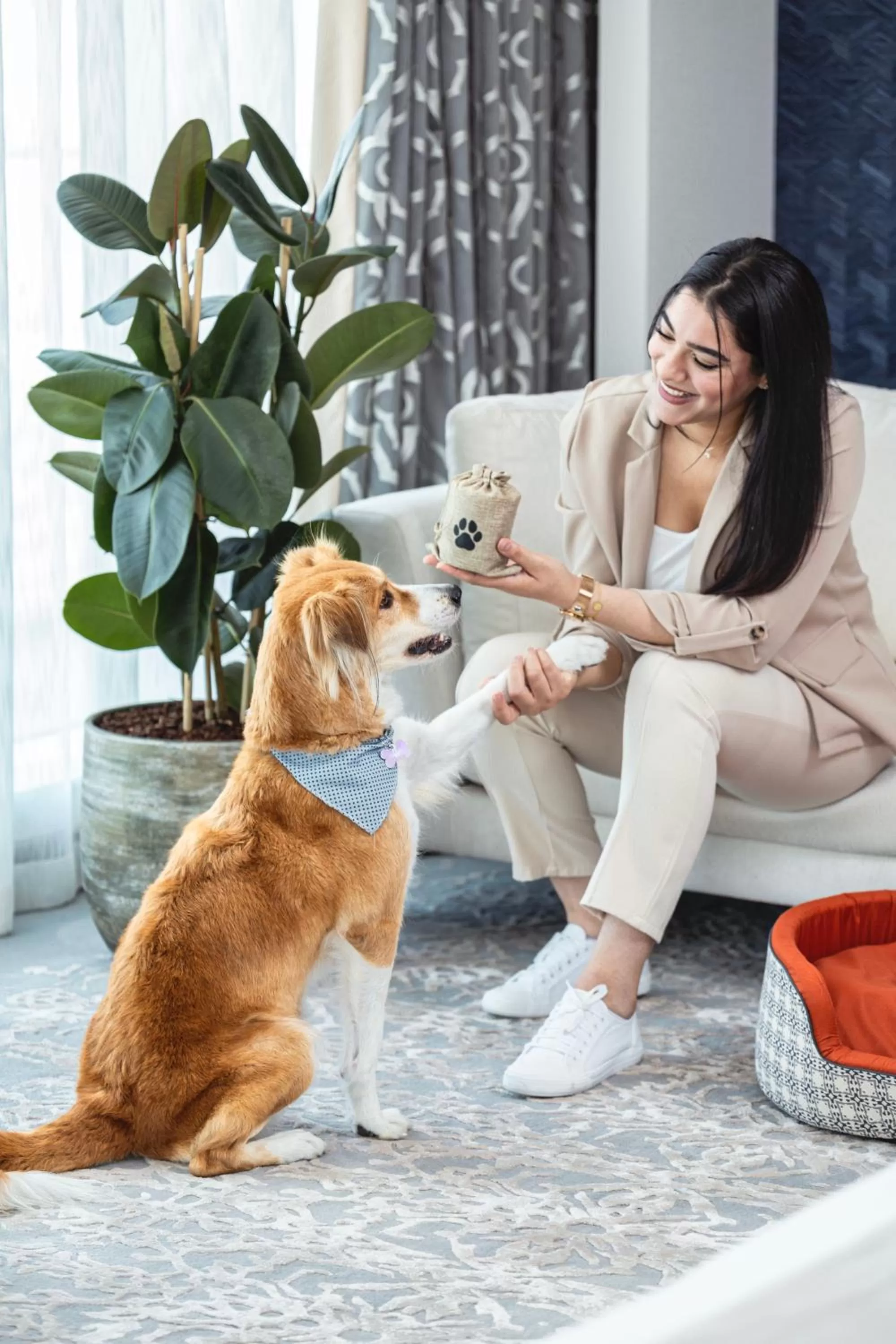 Pets in Abesq Doha Hotel and Residences, an IHG Hotel