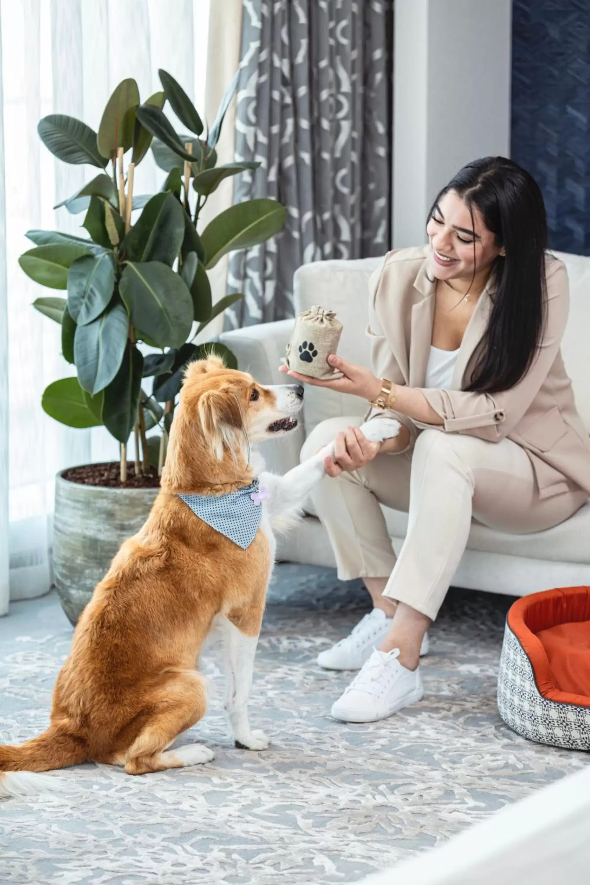 Pets in Abesq Doha Hotel and Residences