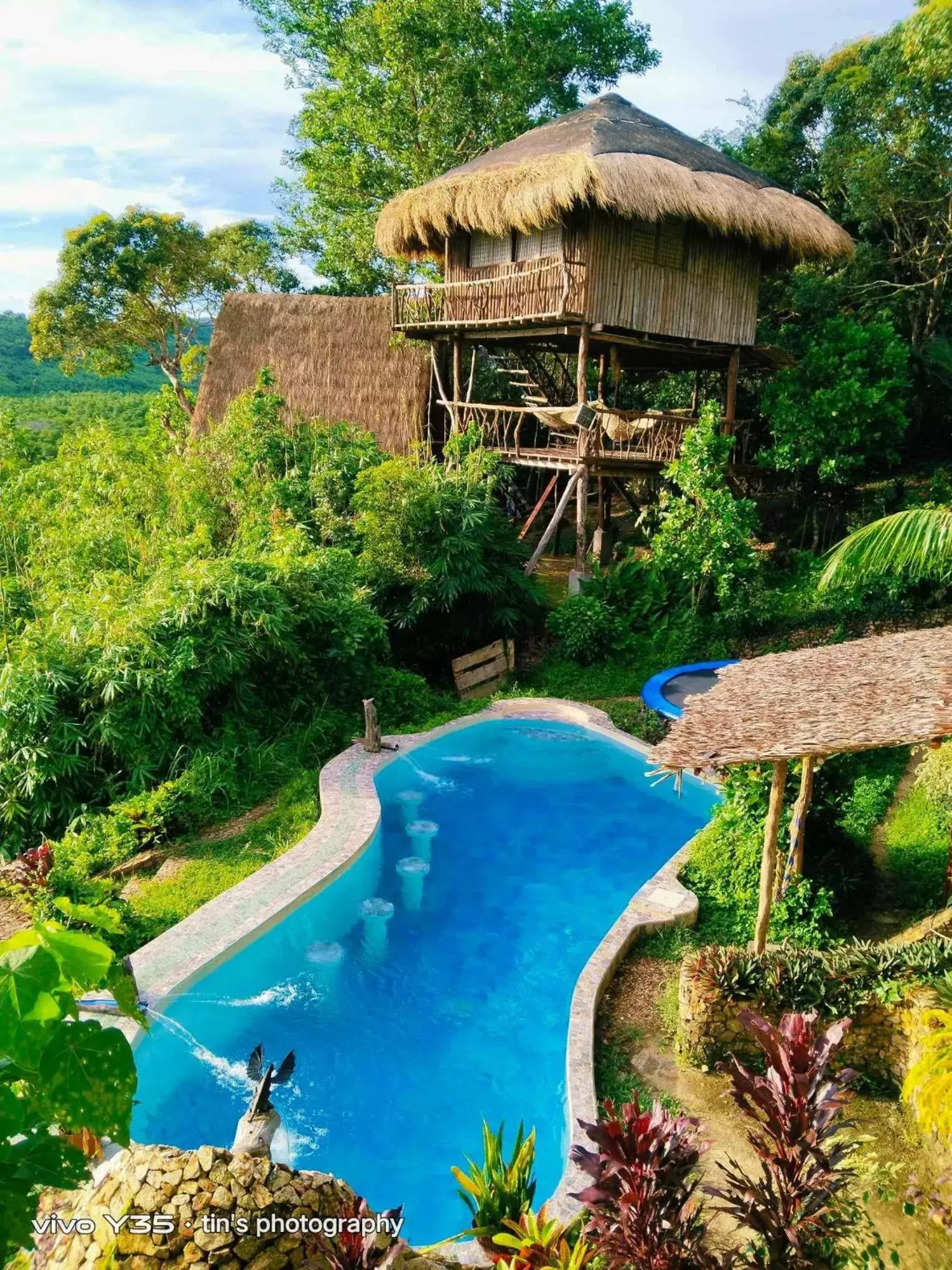 Pool View in Sanctuaria Treehouses Busuanga