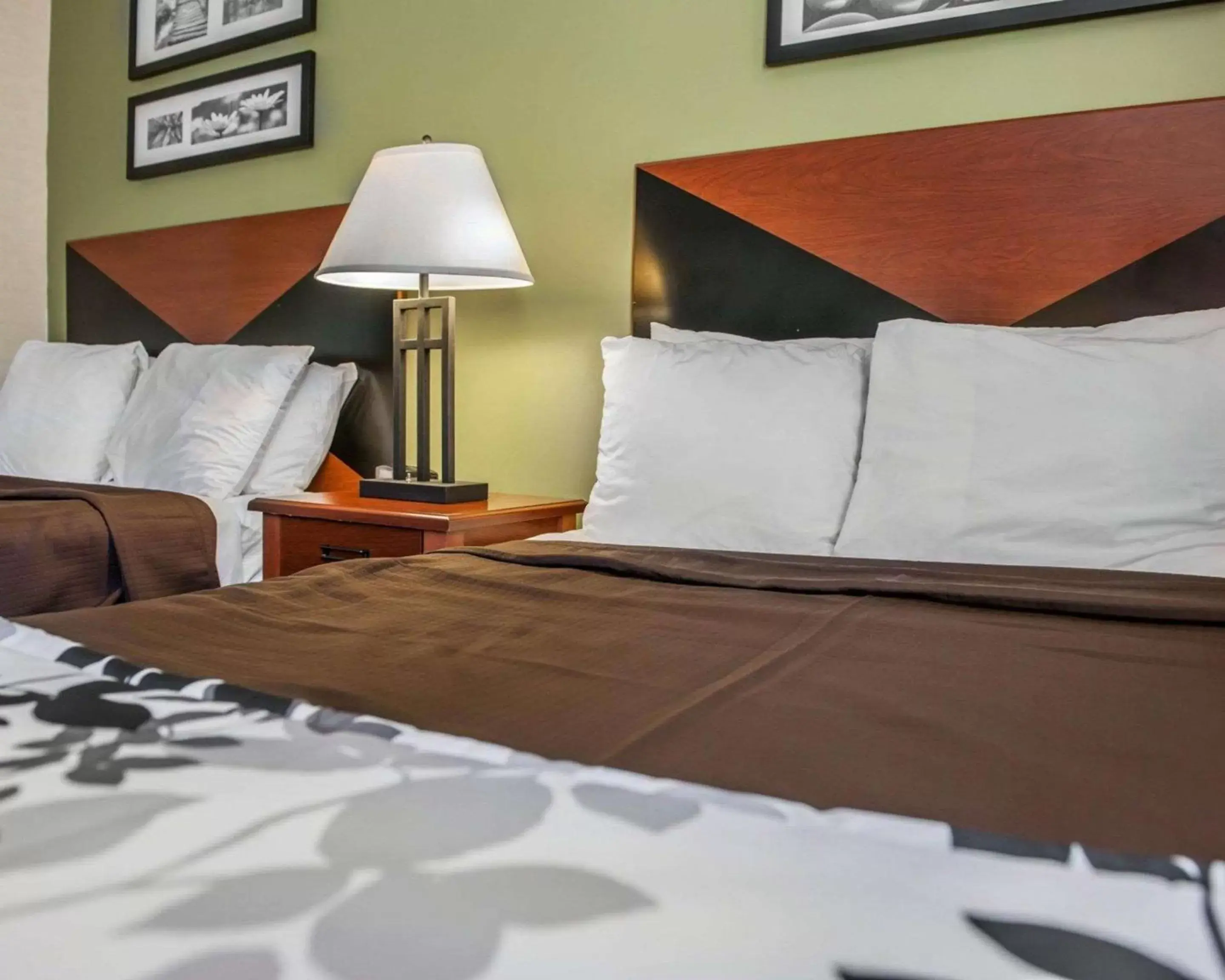 Photo of the whole room, Bed in Econo Lodge Champaign Urbana – University Area