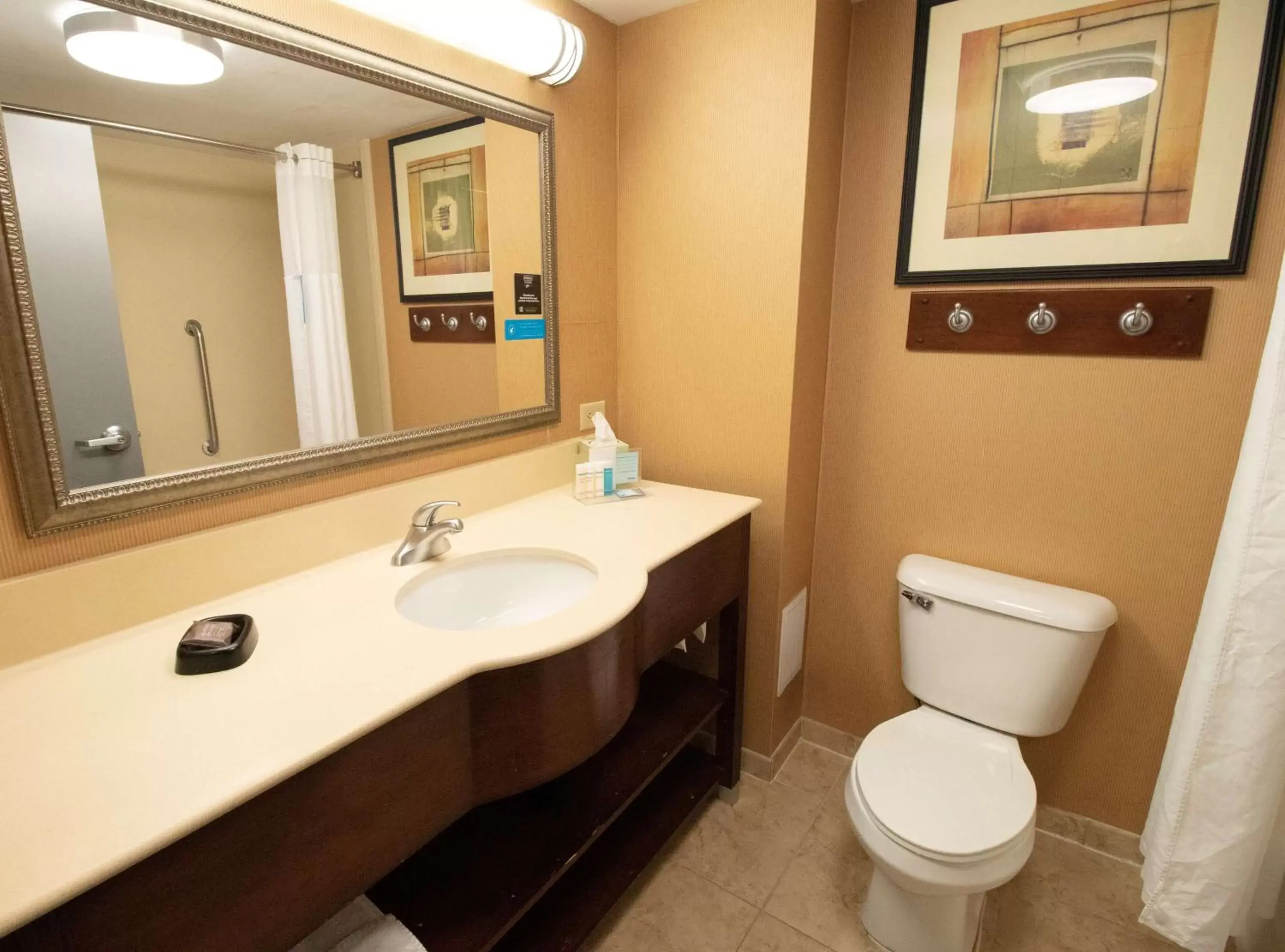 Bathroom in Hampton Inn & Suites Richmond/Virginia Center