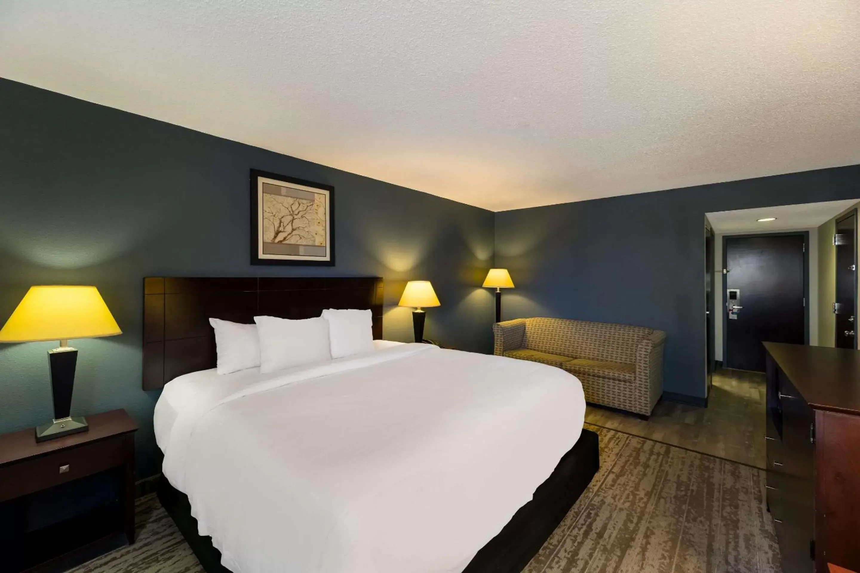 Bedroom, Bed in Clarion Hotel San Angelo near Convention Center