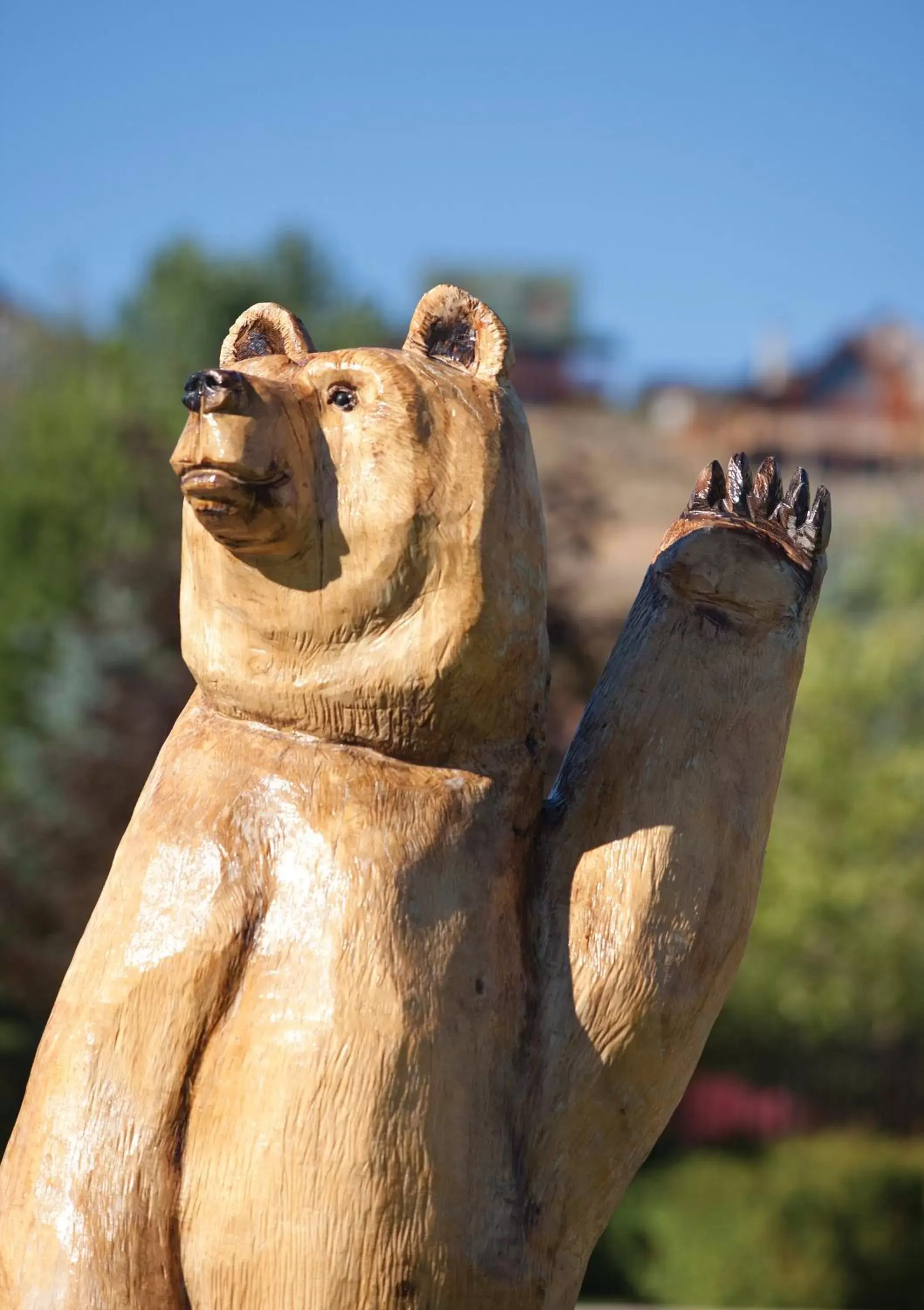 Decorative detail, Other Animals in WorldMark Bear Lake