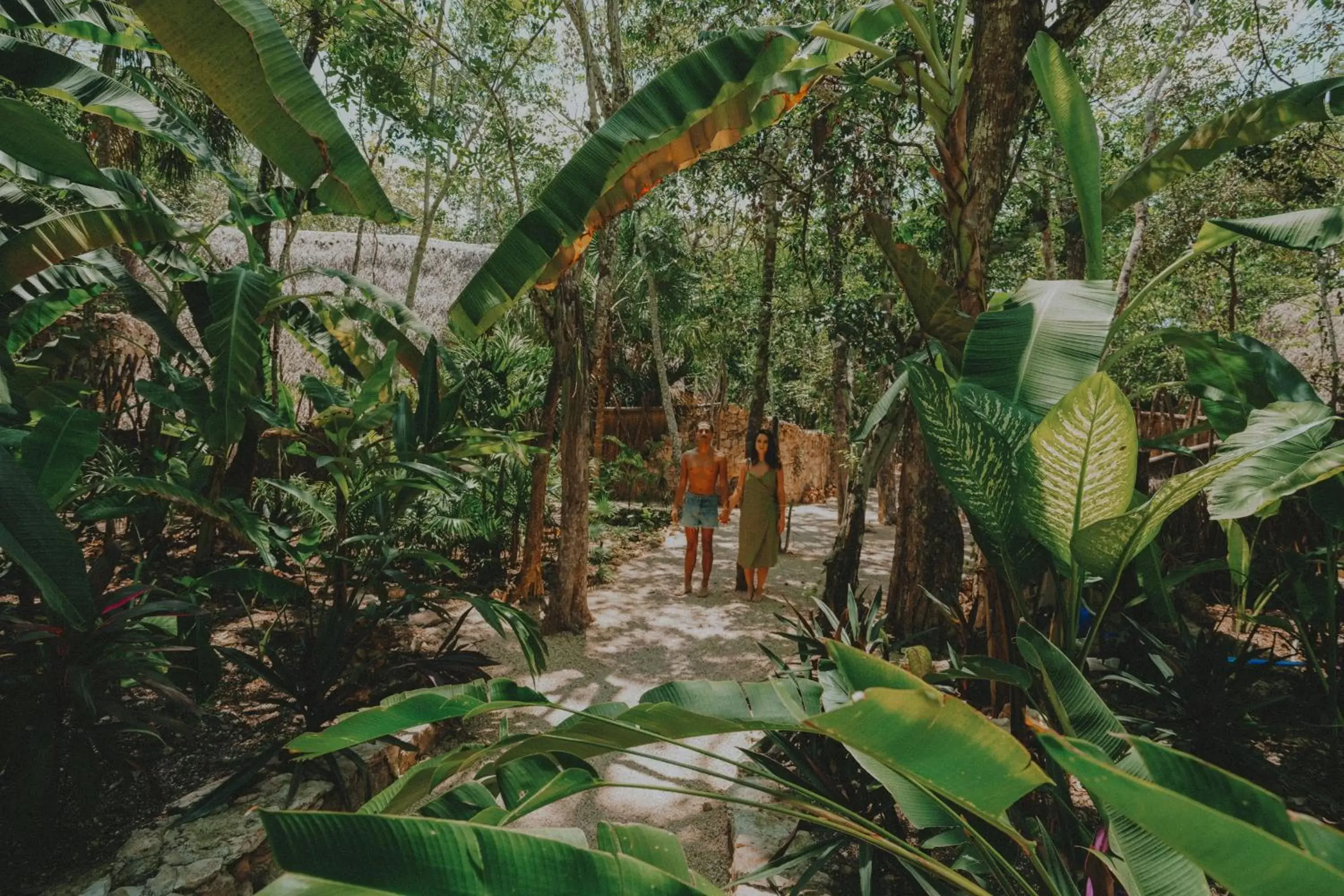 Natural landscape in Naya Bacalar