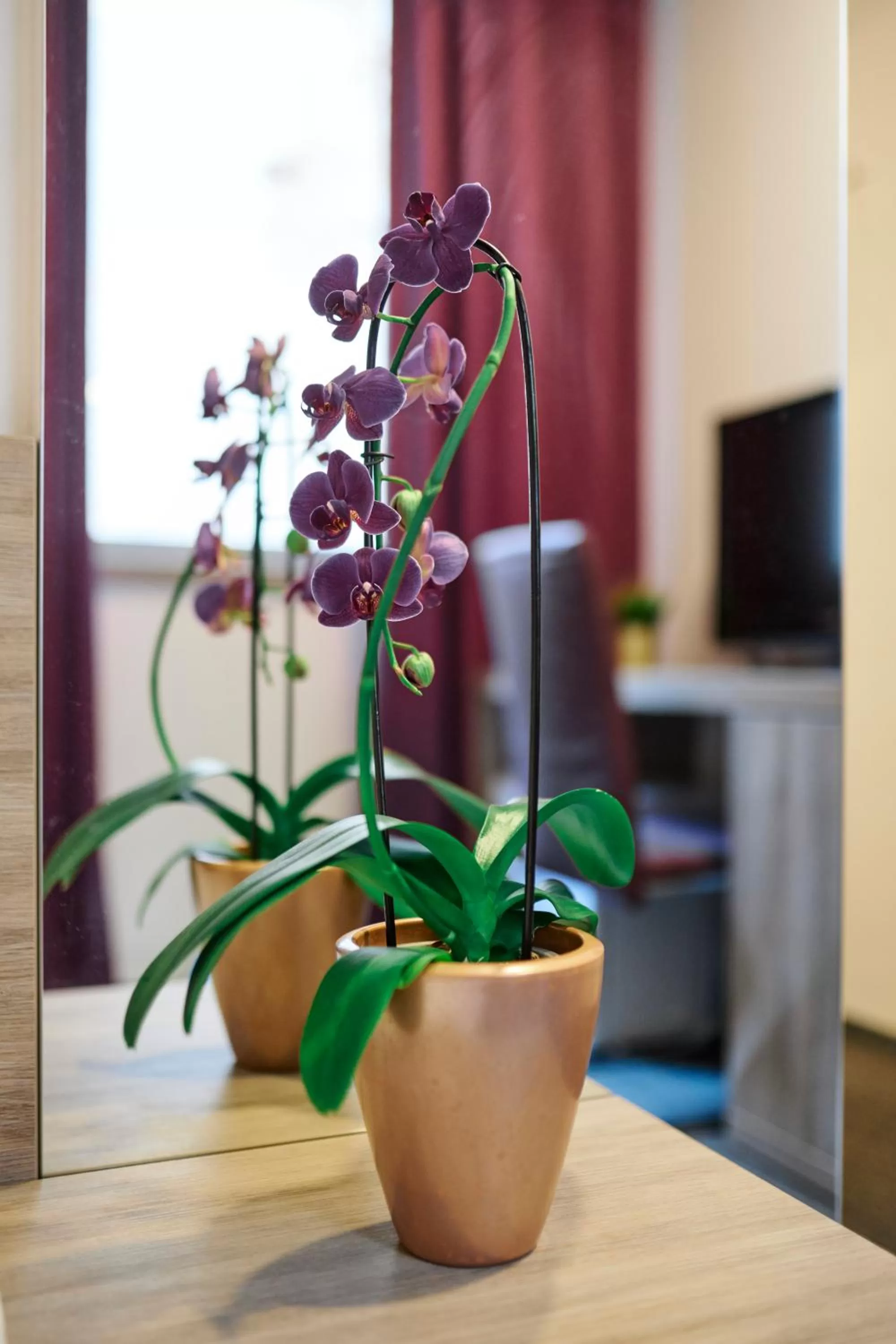 Decorative detail in Hotel Meksiko