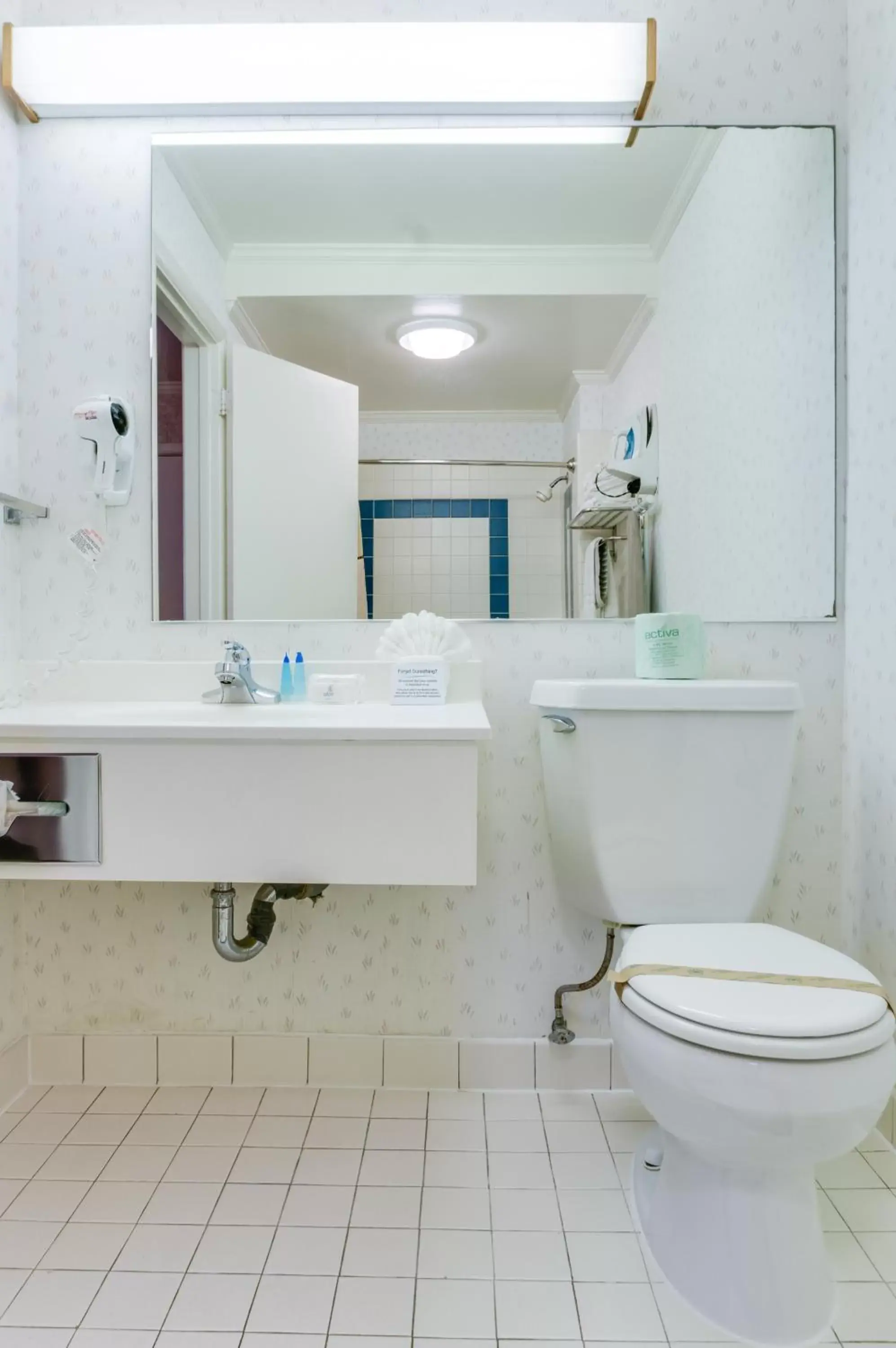 Toilet, Bathroom in Francisco Bay Inn