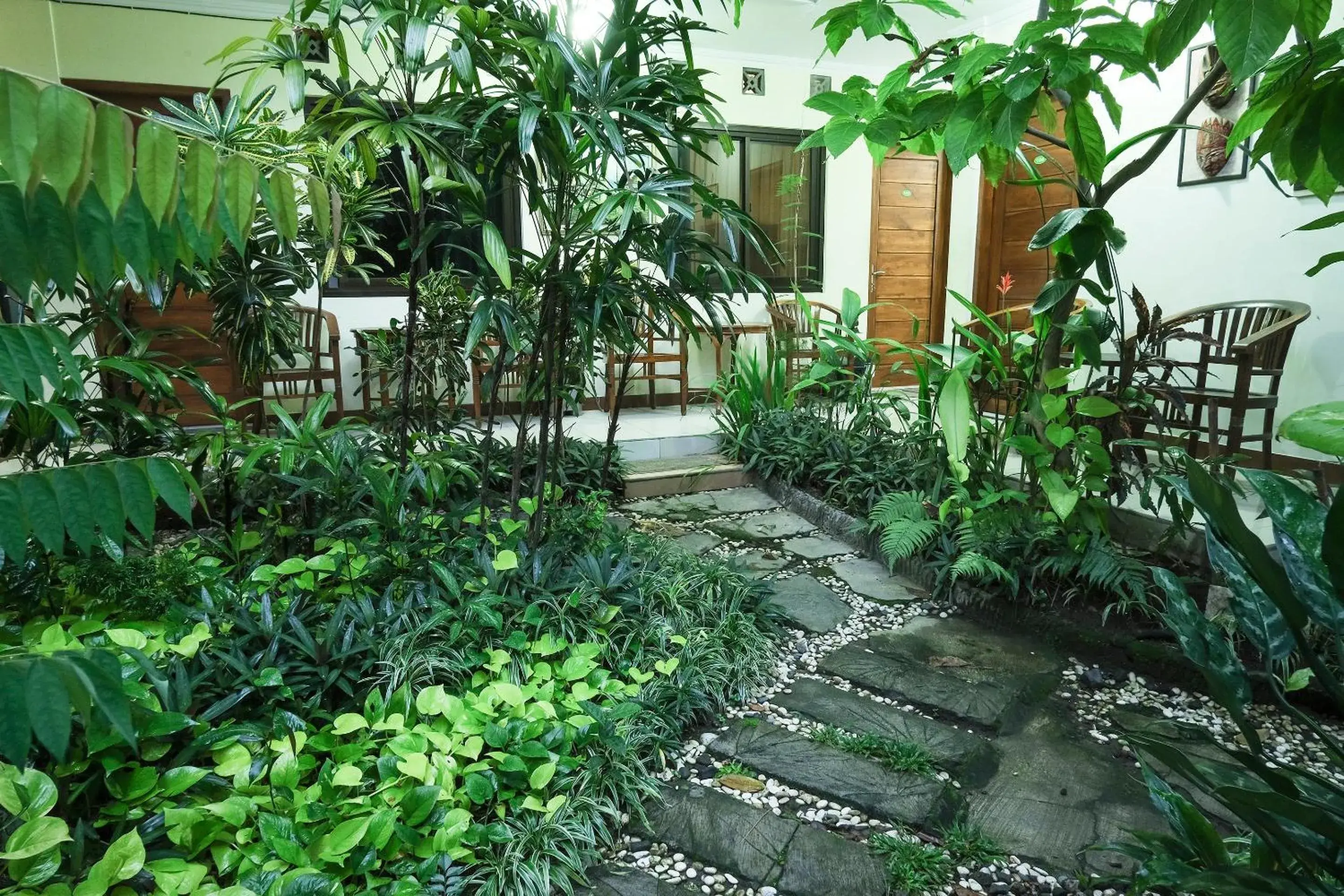 Garden in Sabana Homestay