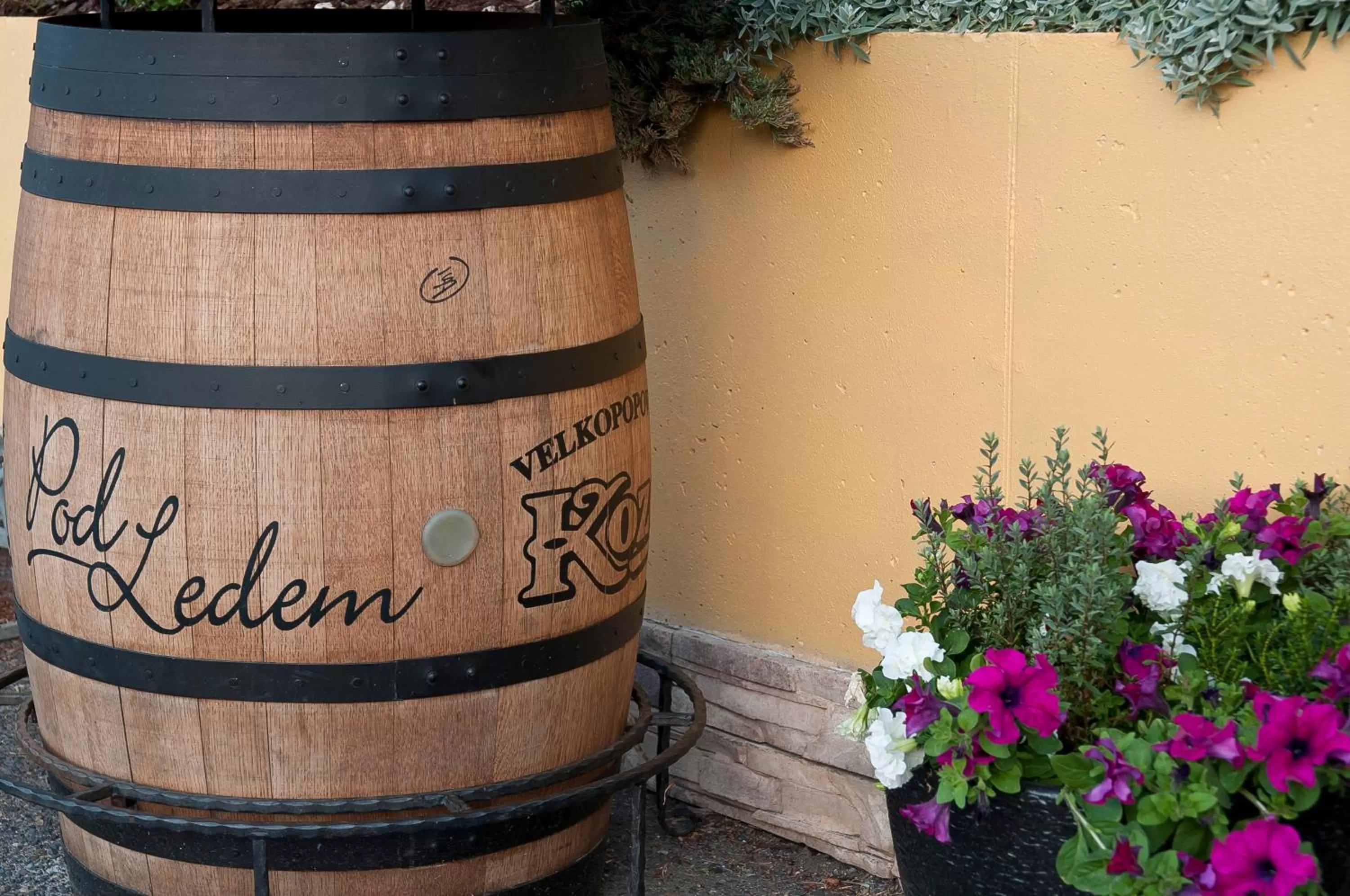 Restaurant/places to eat in Hotel u Ledu