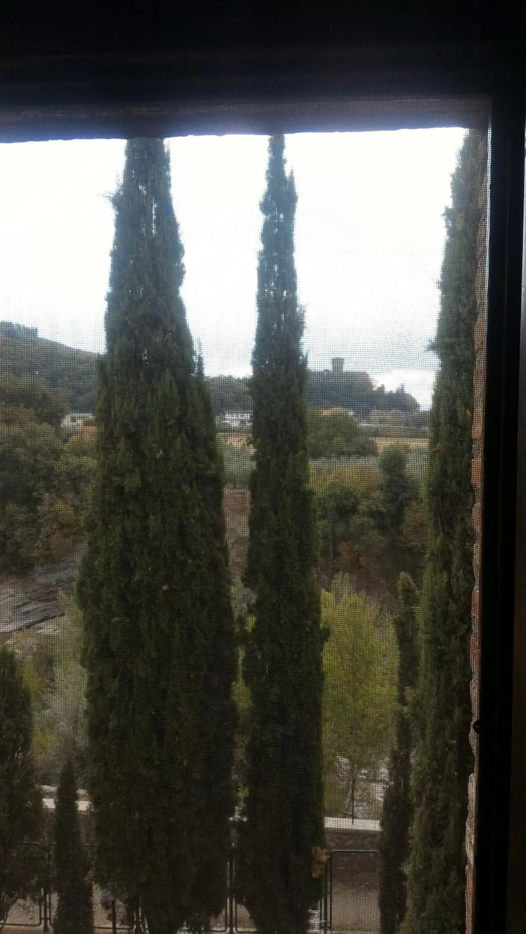 View (from property/room) in Villa La Nussa