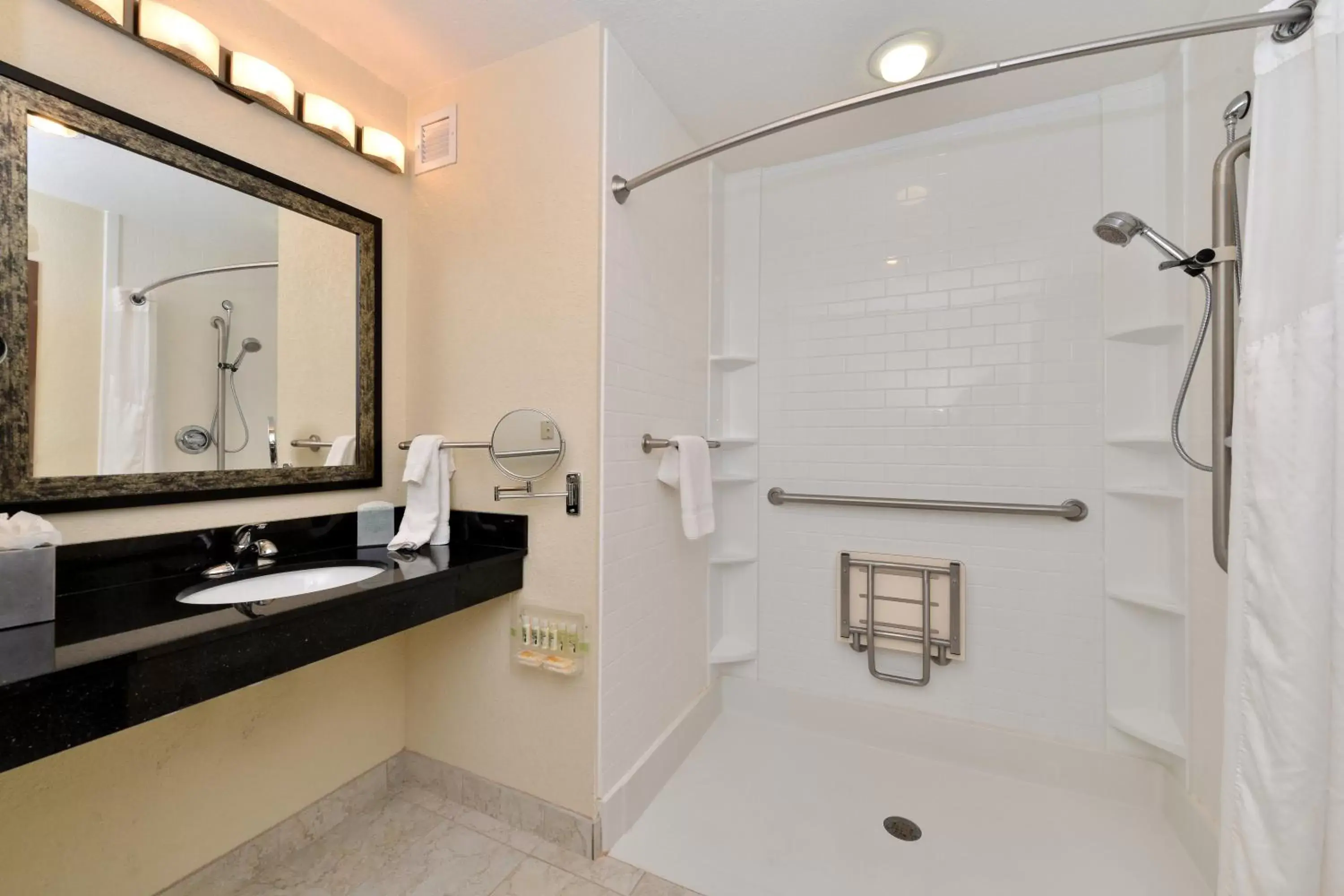 Photo of the whole room, Bathroom in Holiday Inn Montgomery South Airport, an IHG Hotel