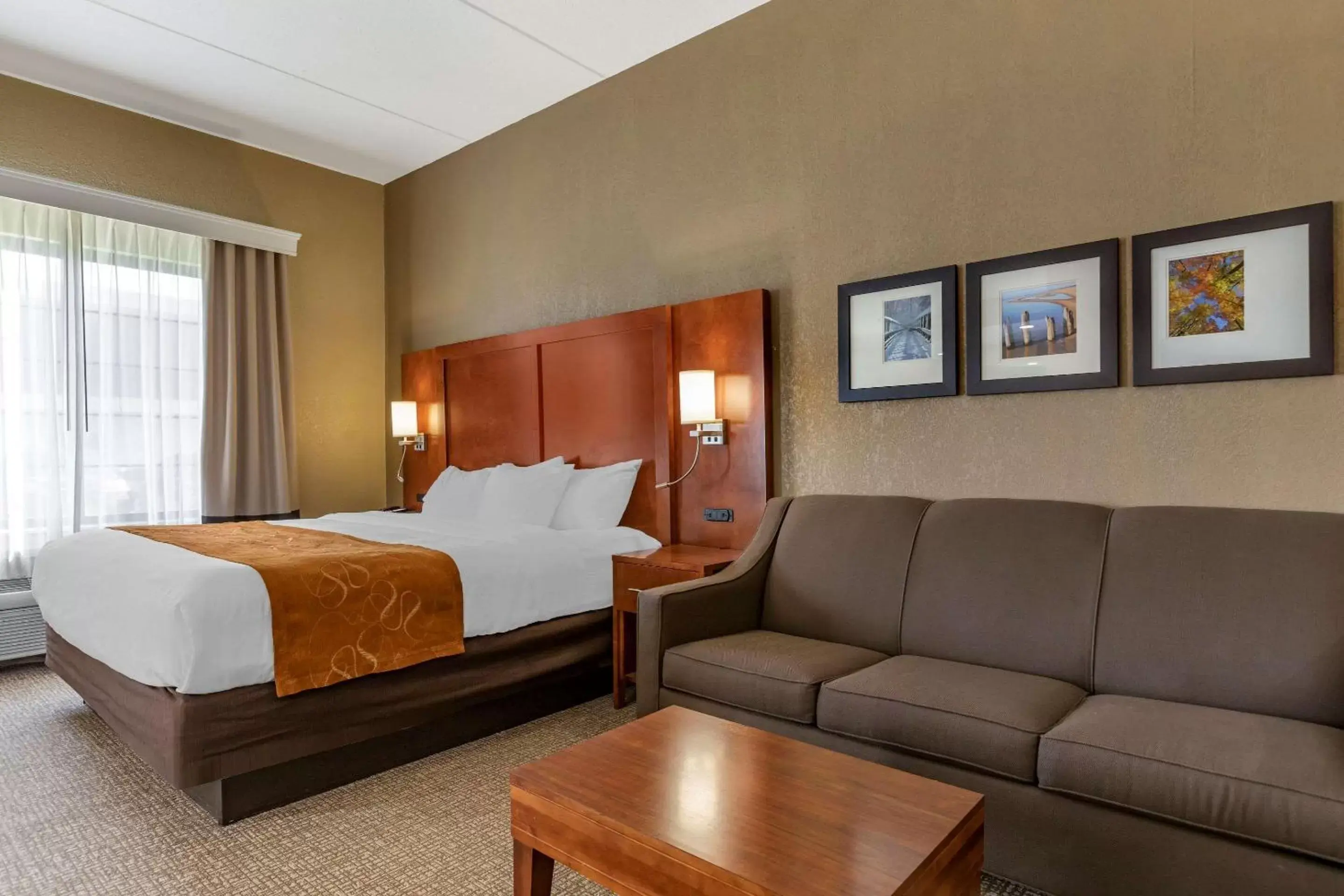 Photo of the whole room in Comfort Suites Grand Rapids South