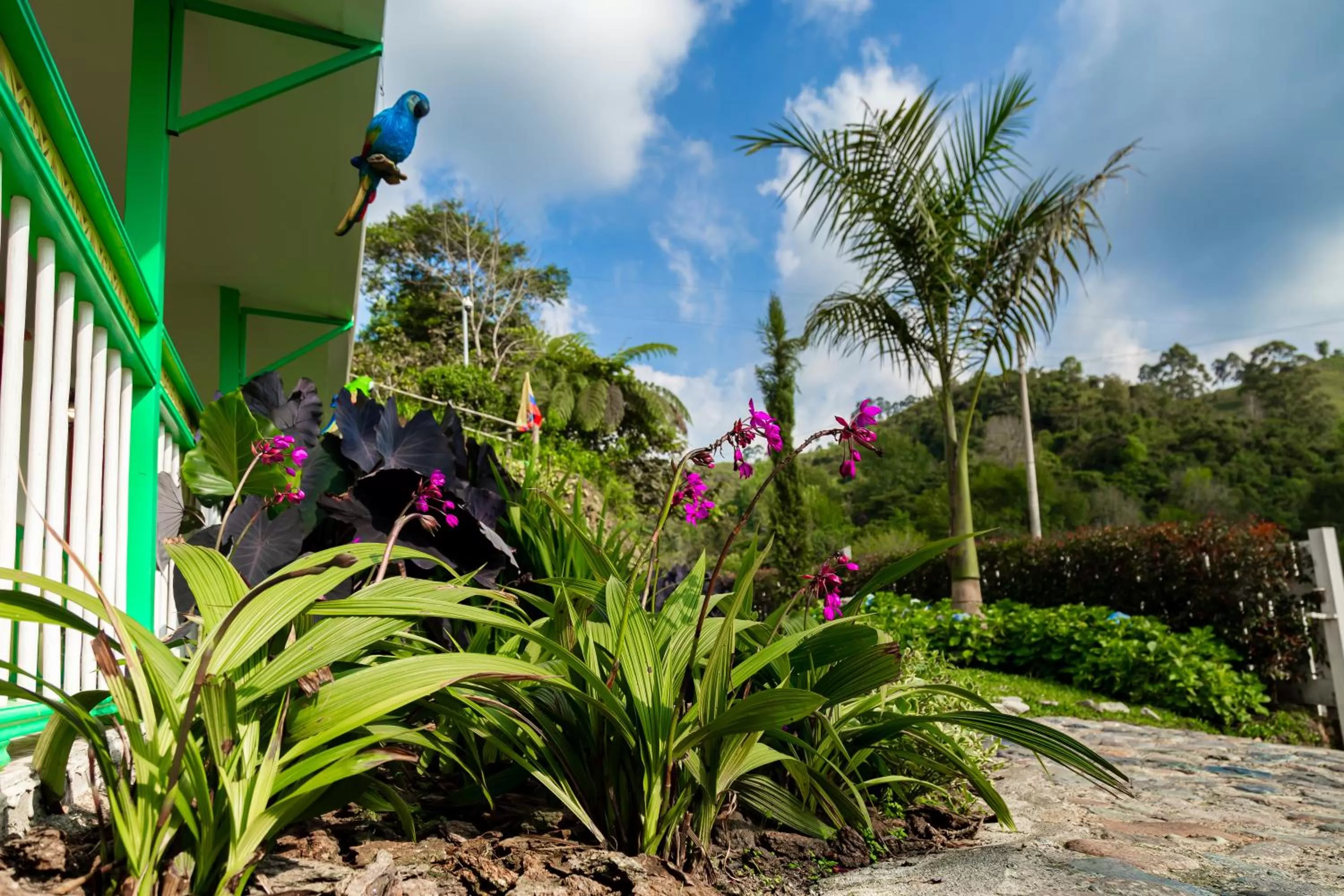 Property building in Hotel Mirador de Boquia Salento