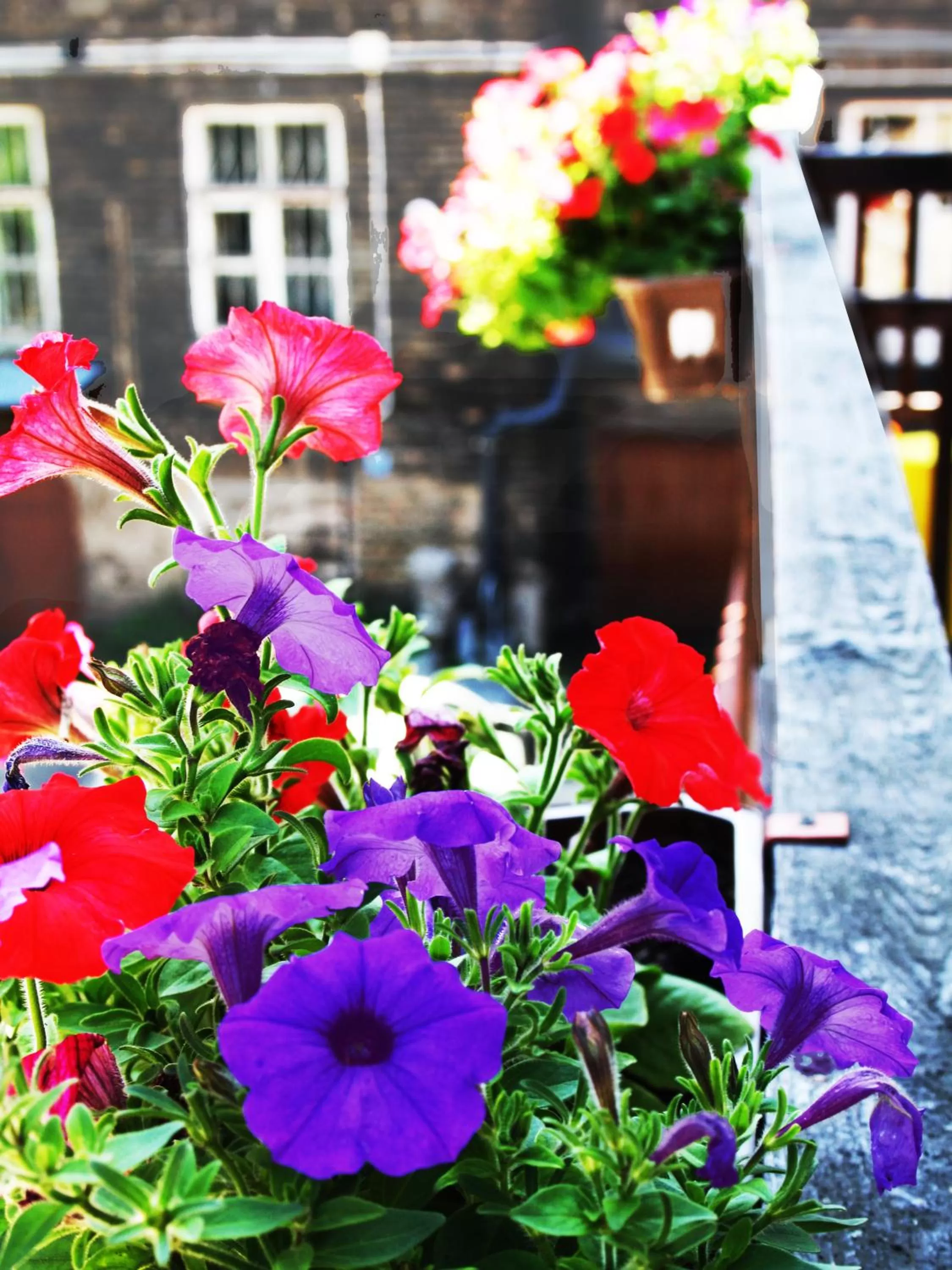 Balcony/Terrace in Vilnius Apartments
