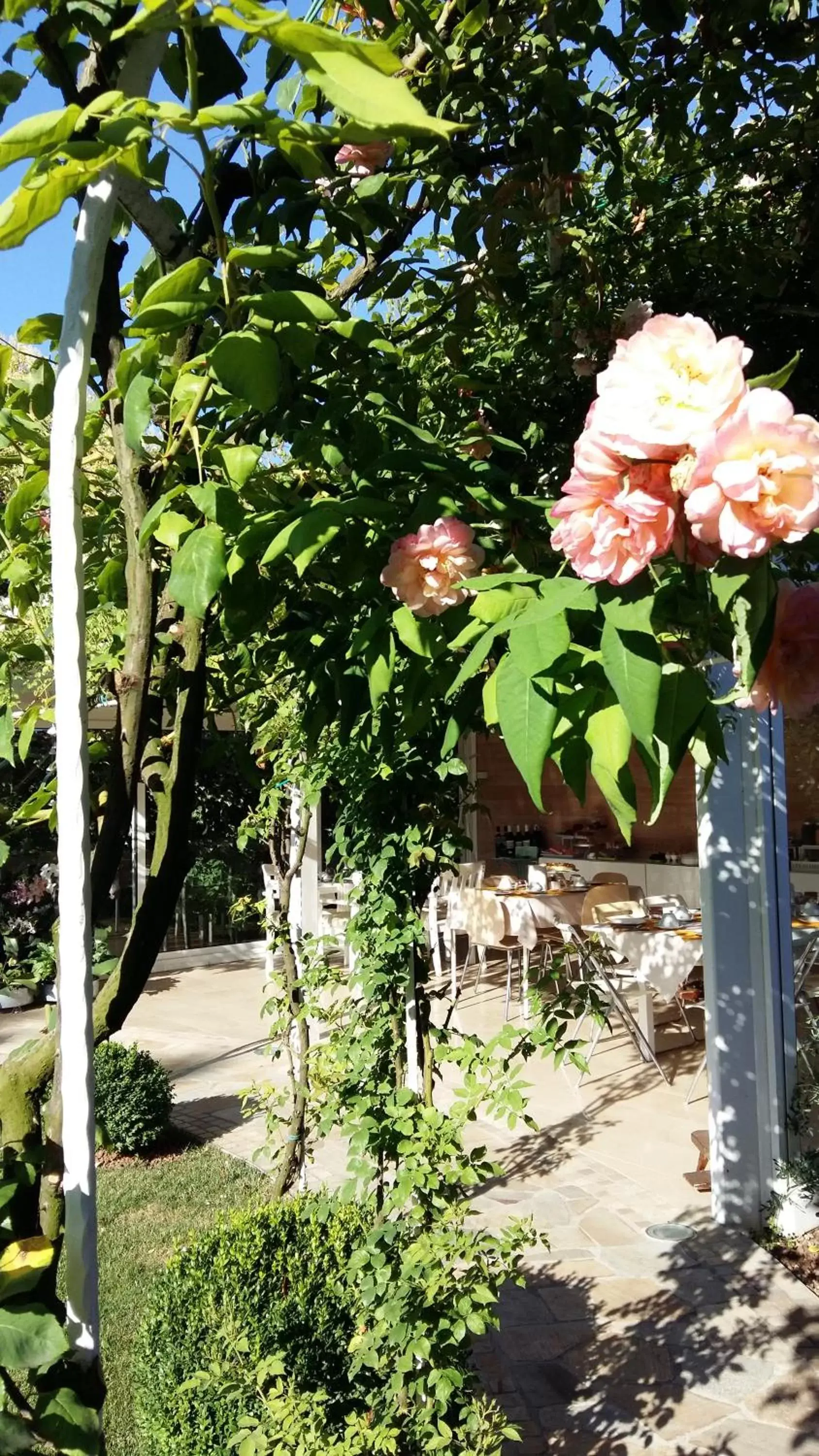 Garden in La Casa di Linda