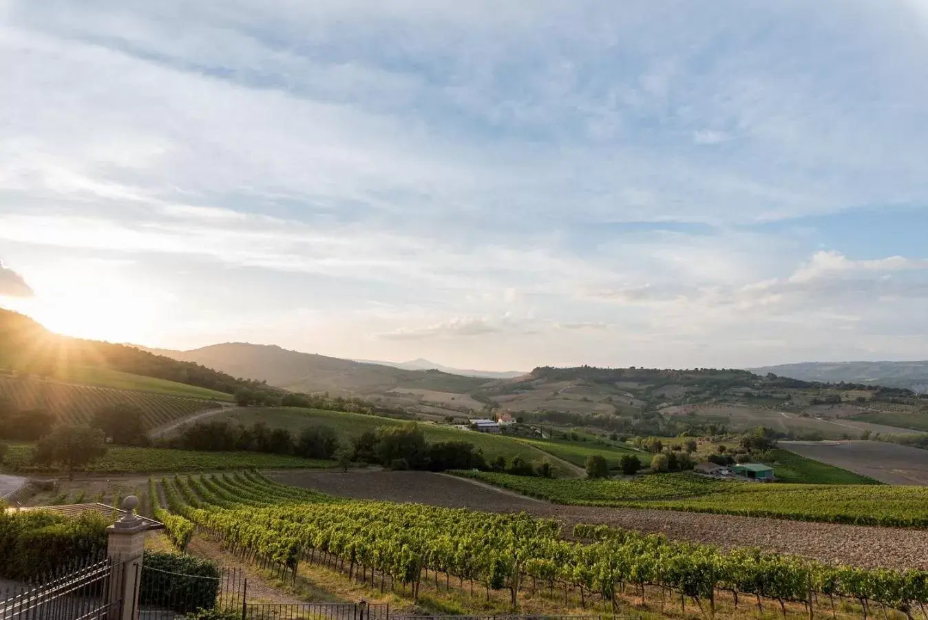 View (from property/room), Natural Landscape in Altarocca Wine Resort Adults Only