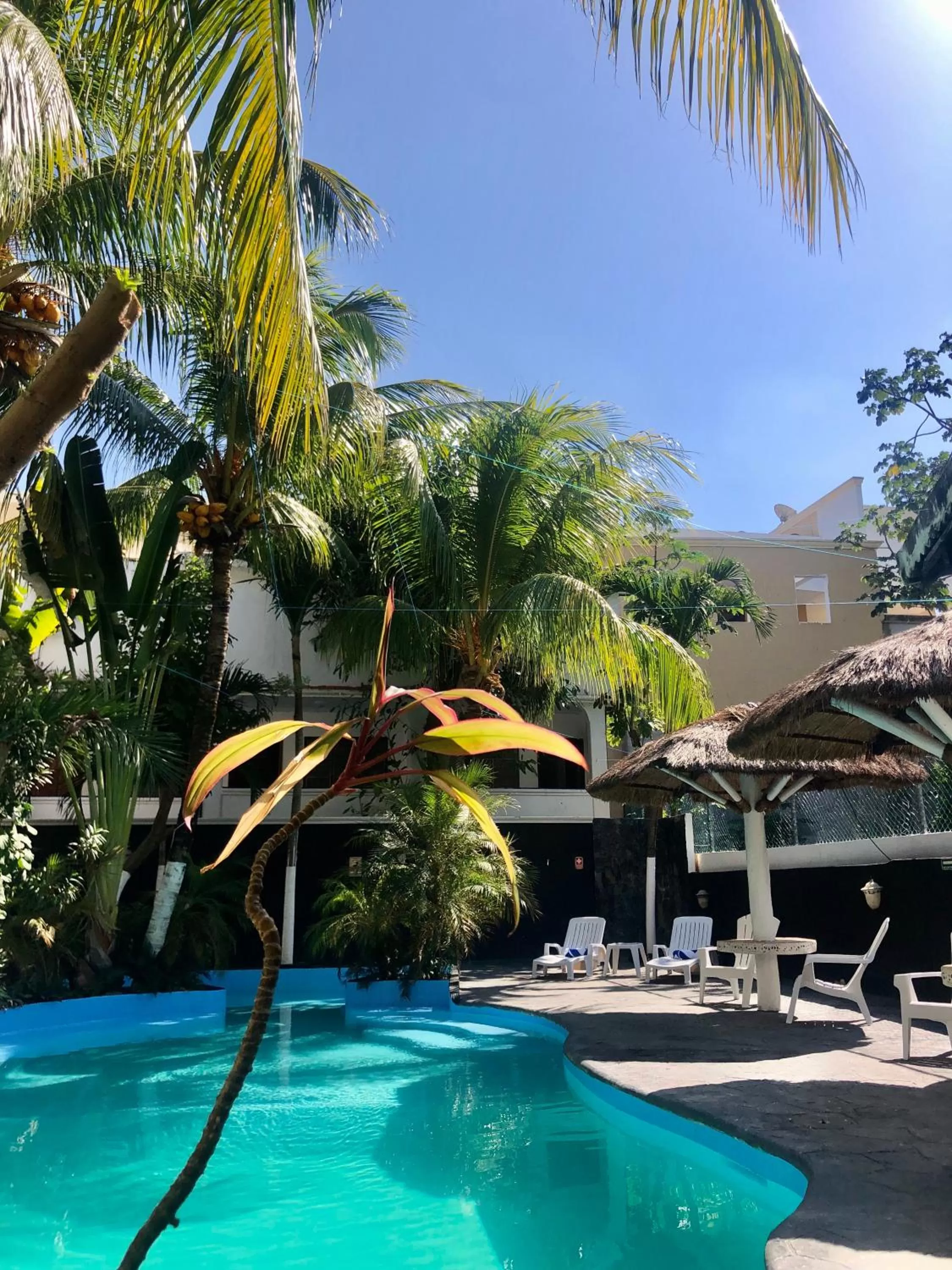 Garden, Swimming Pool in "5TH AVENUE" Beach Energy Hotel "by BFH"