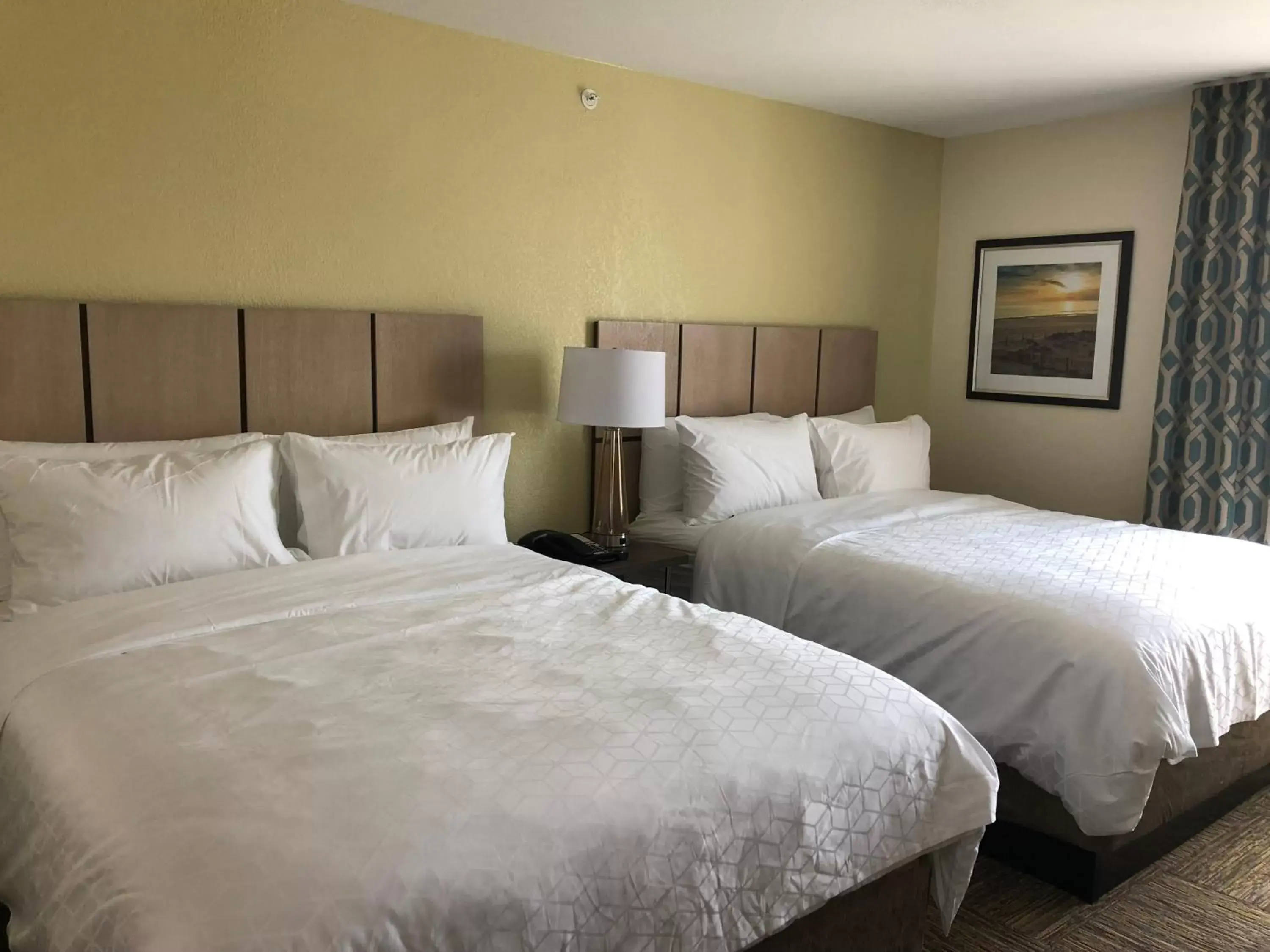 Bedroom, Bed in Candlewood Suites - Panama City Beach Pier Park, an IHG Hotel