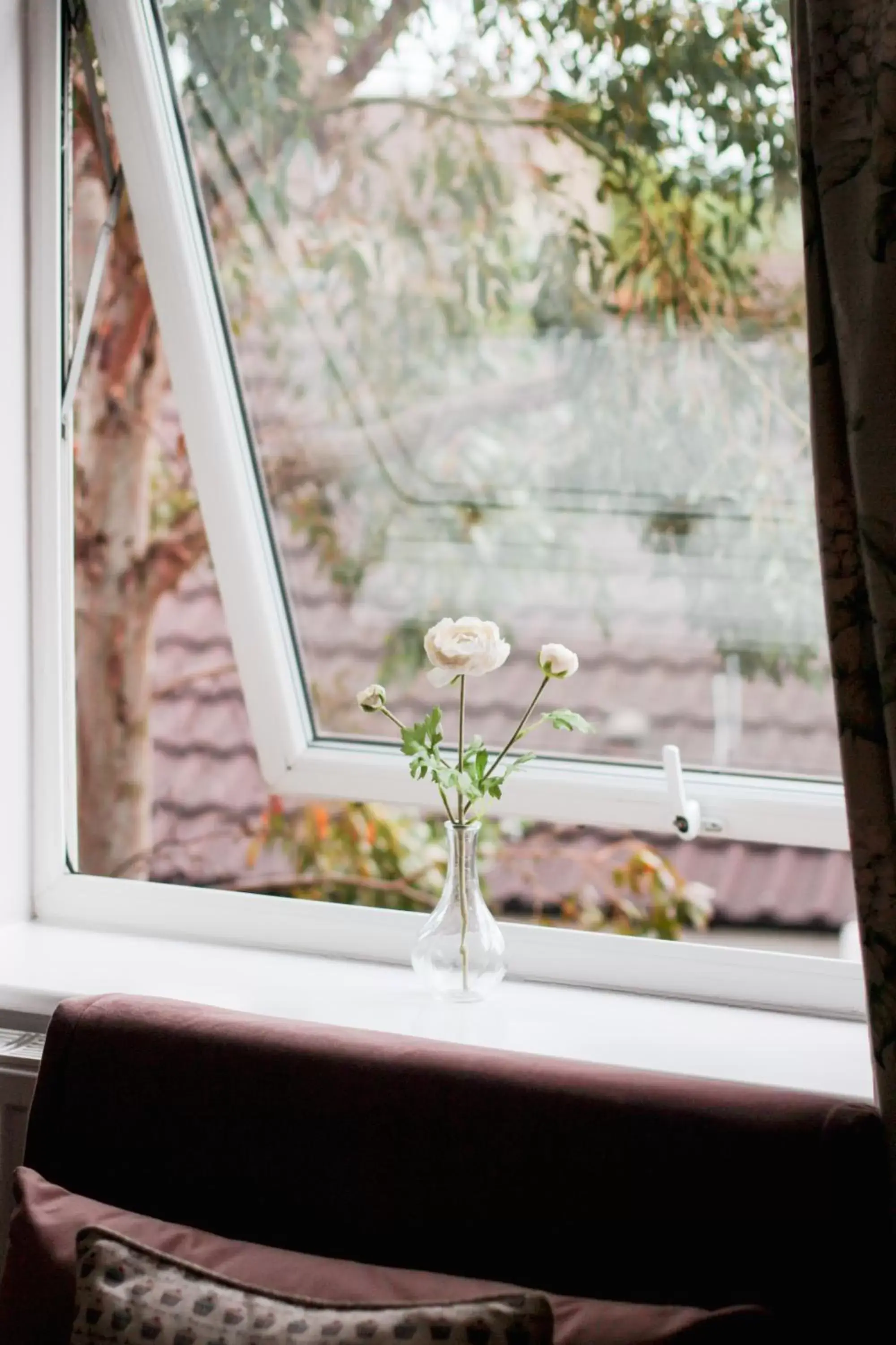 Garden view in The Five Dials Inn