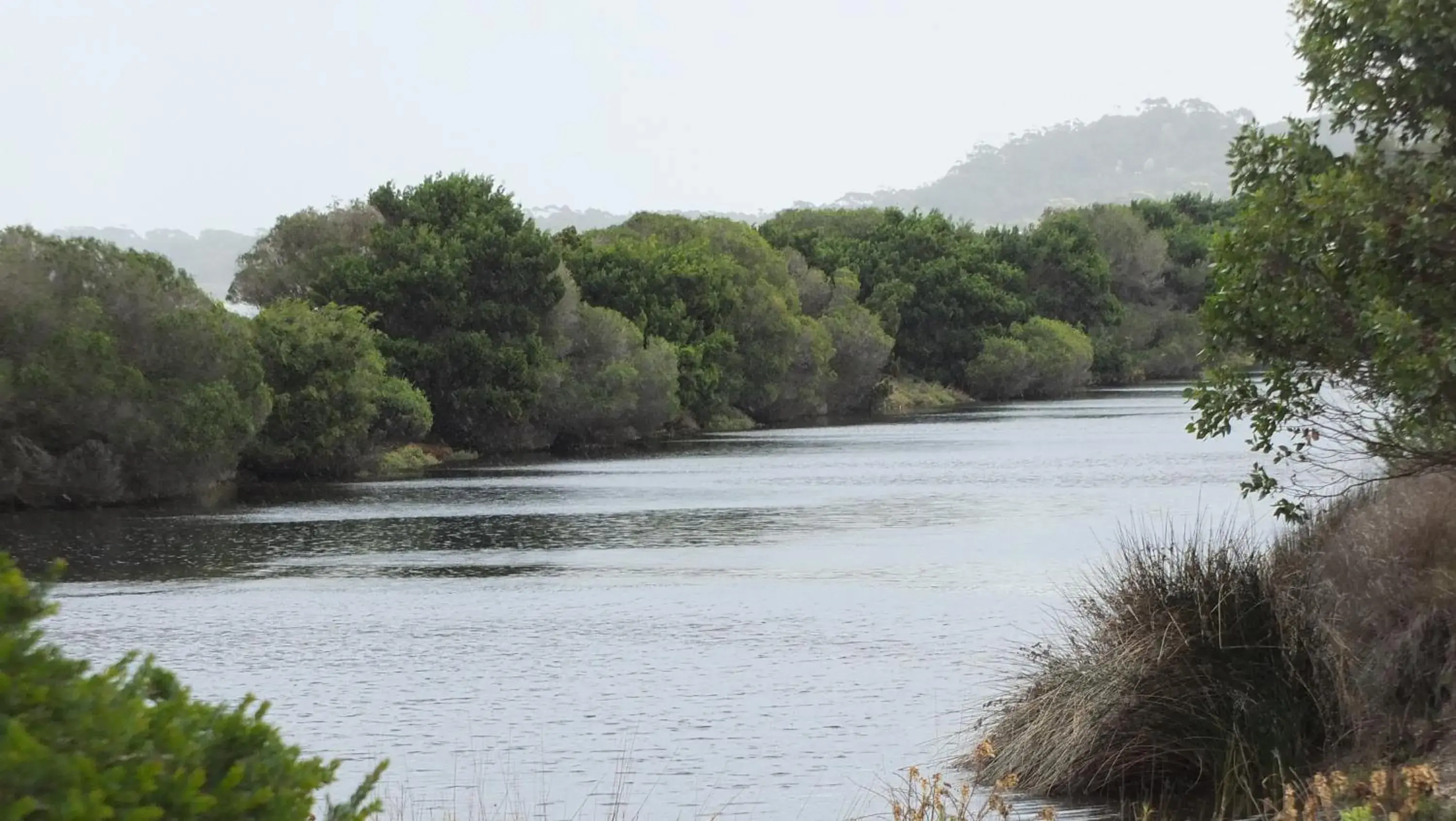 Nearby landmark, Natural Landscape in 1849 Backpackers Albany