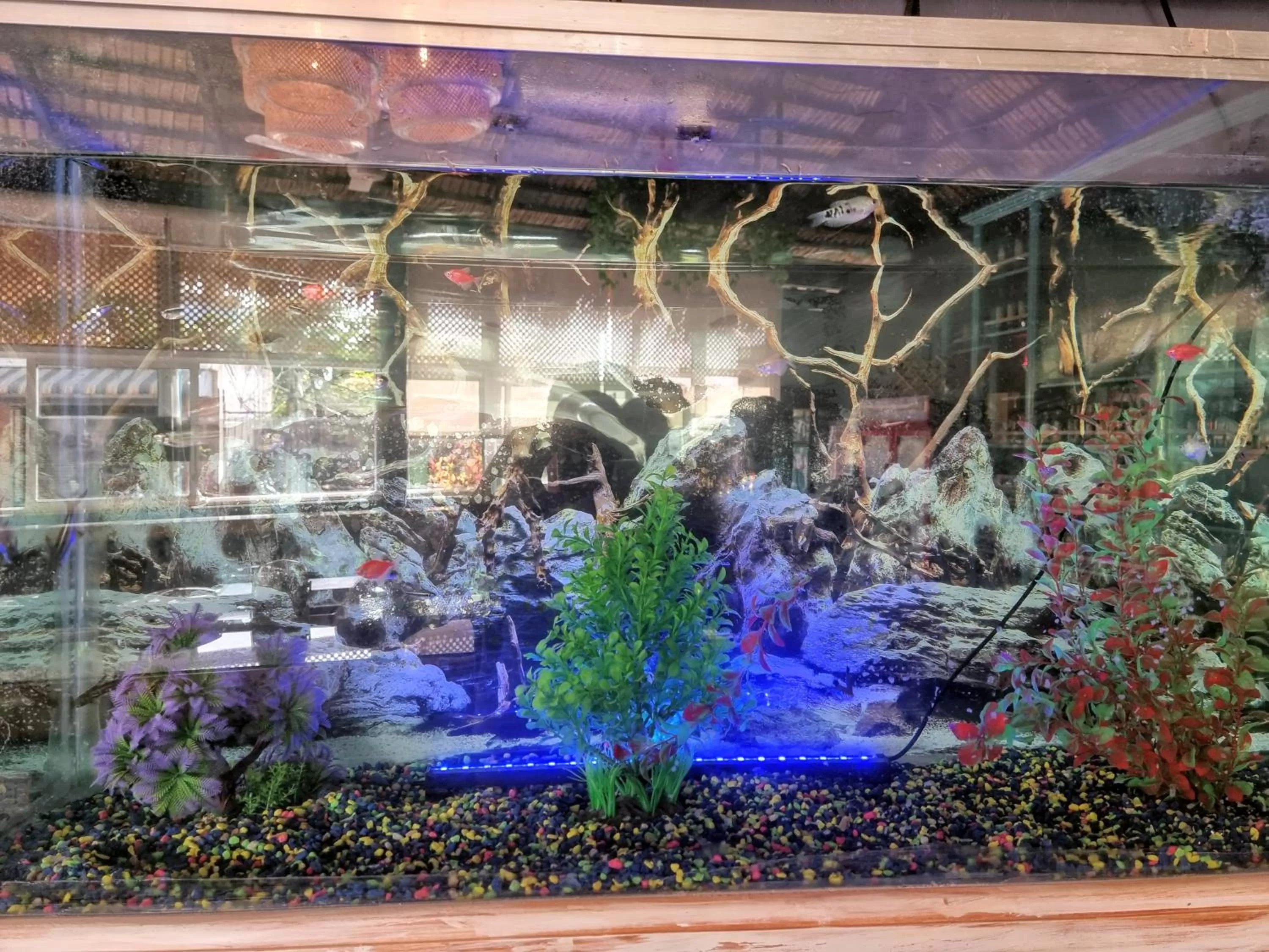 Property building in Hotel Sea Breeze Sosua