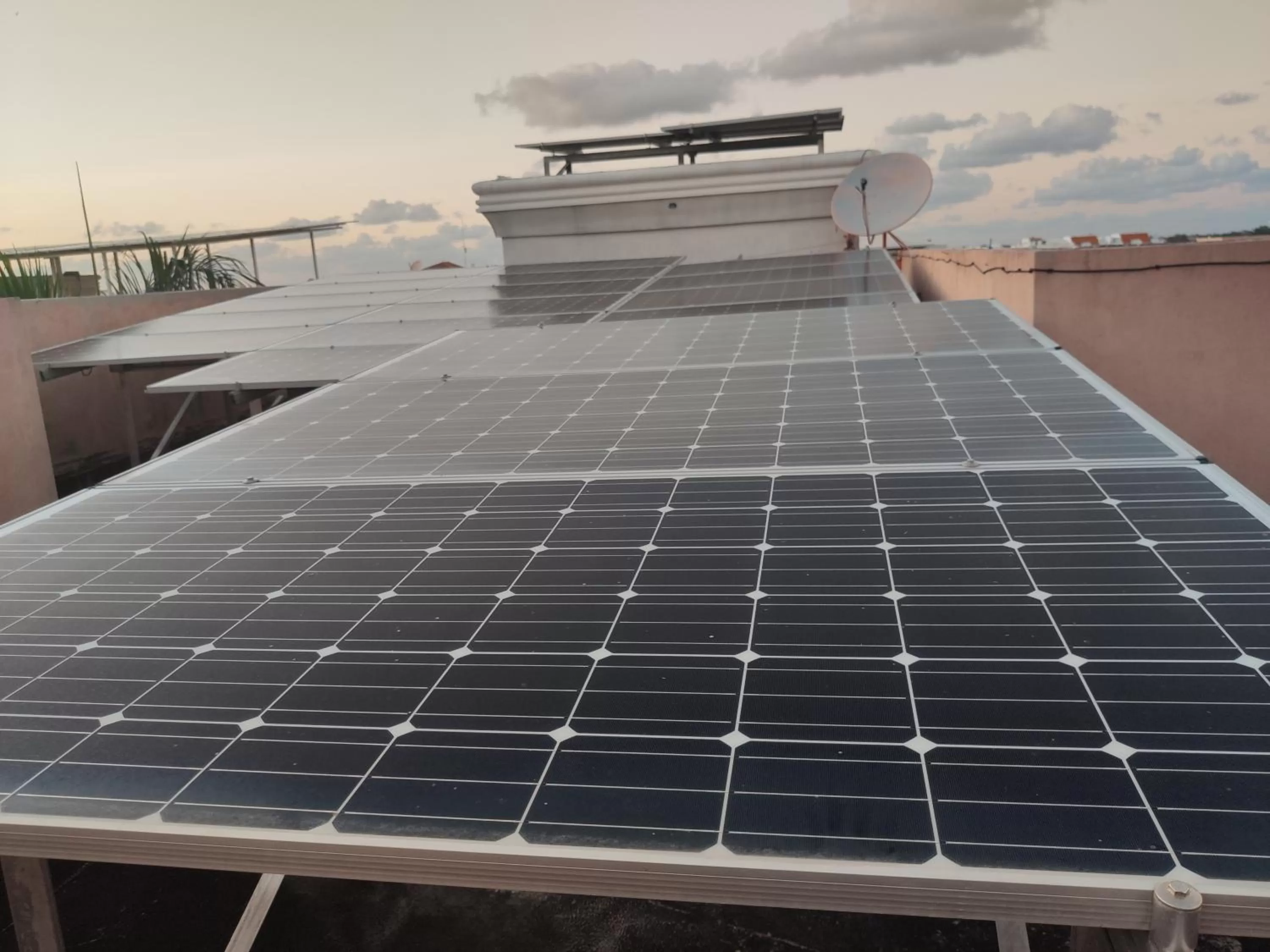 Other in Bavaro Green